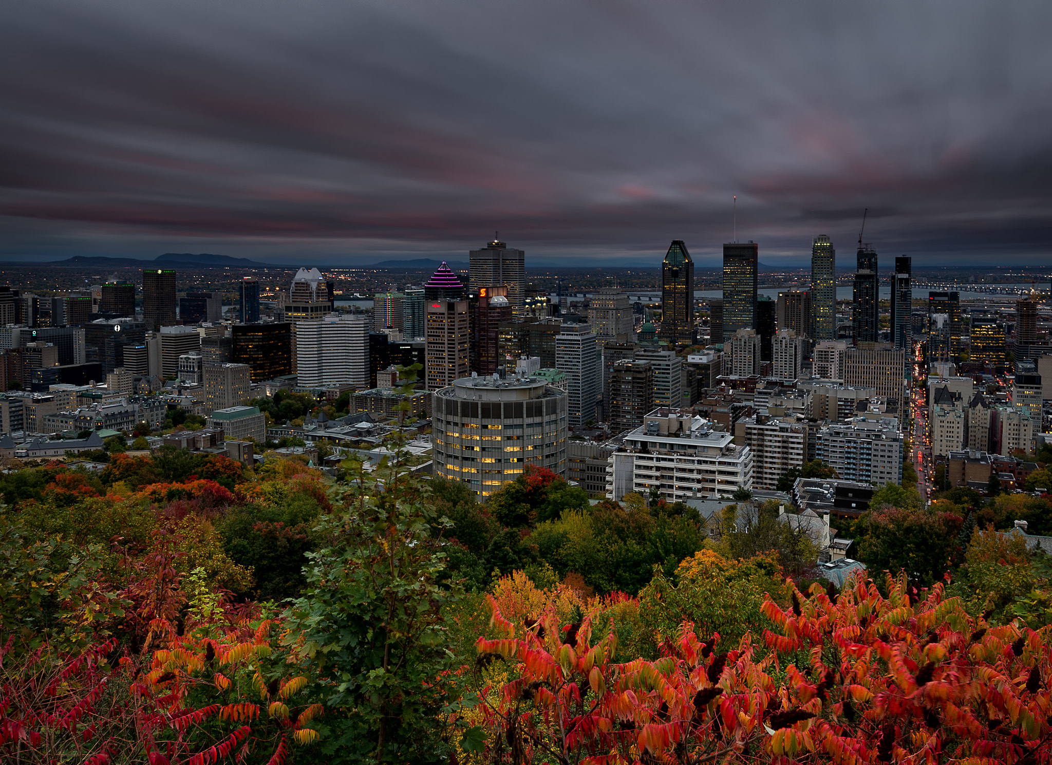 Nikon AF-S Nikkor 16-35mm F4G ED VR sample photo. Fall in montreal photography
