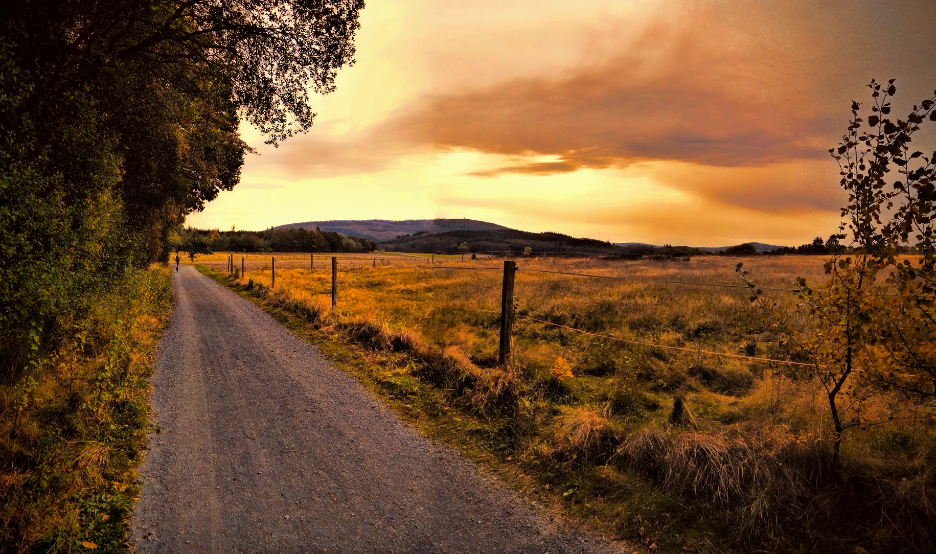 Panasonic Lumix DMC-GX7 sample photo. Sunset in autumn photography