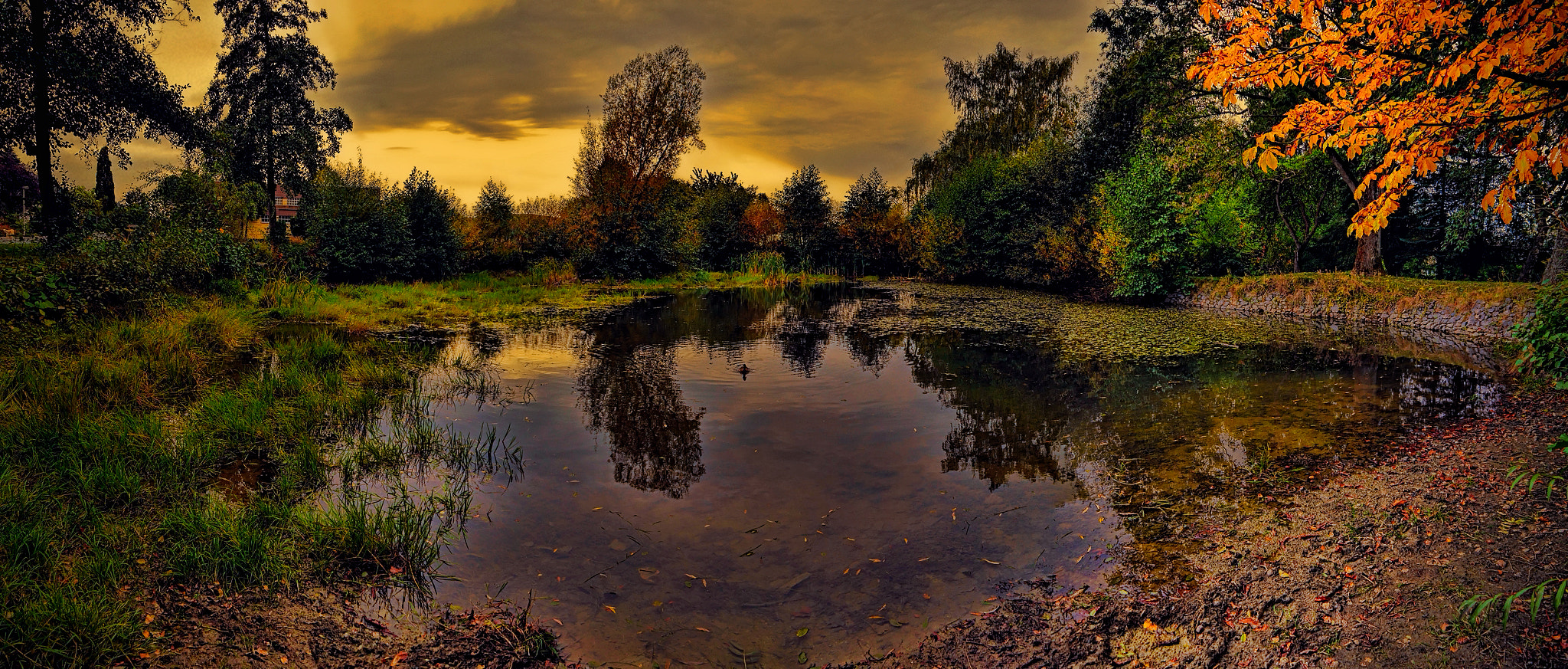 Panasonic Lumix DMC-GX7 sample photo. Pond in fall photography