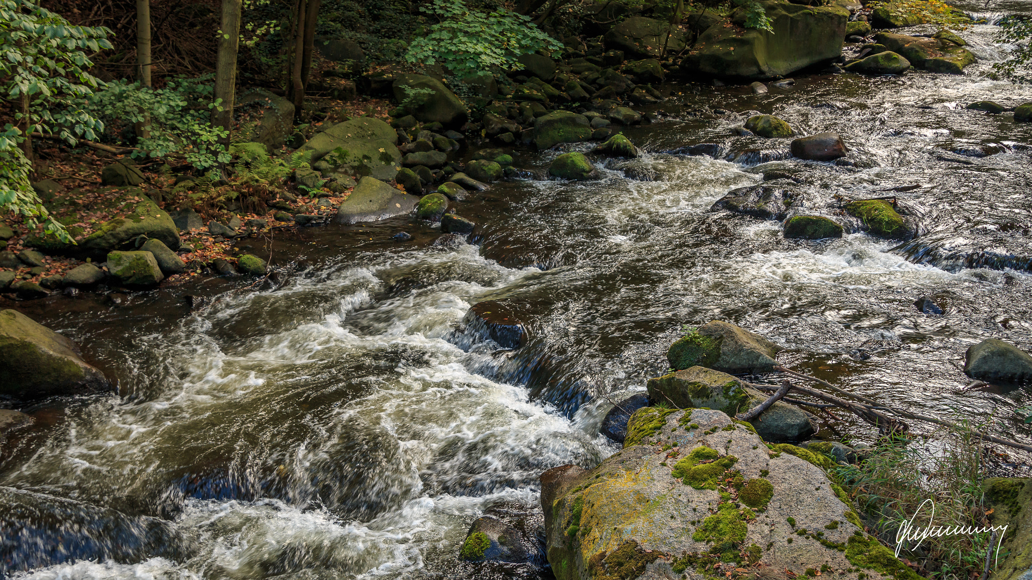 Canon EOS 70D + Sigma 24-105mm f/4 DG OS HSM | A sample photo. Bodetal photography