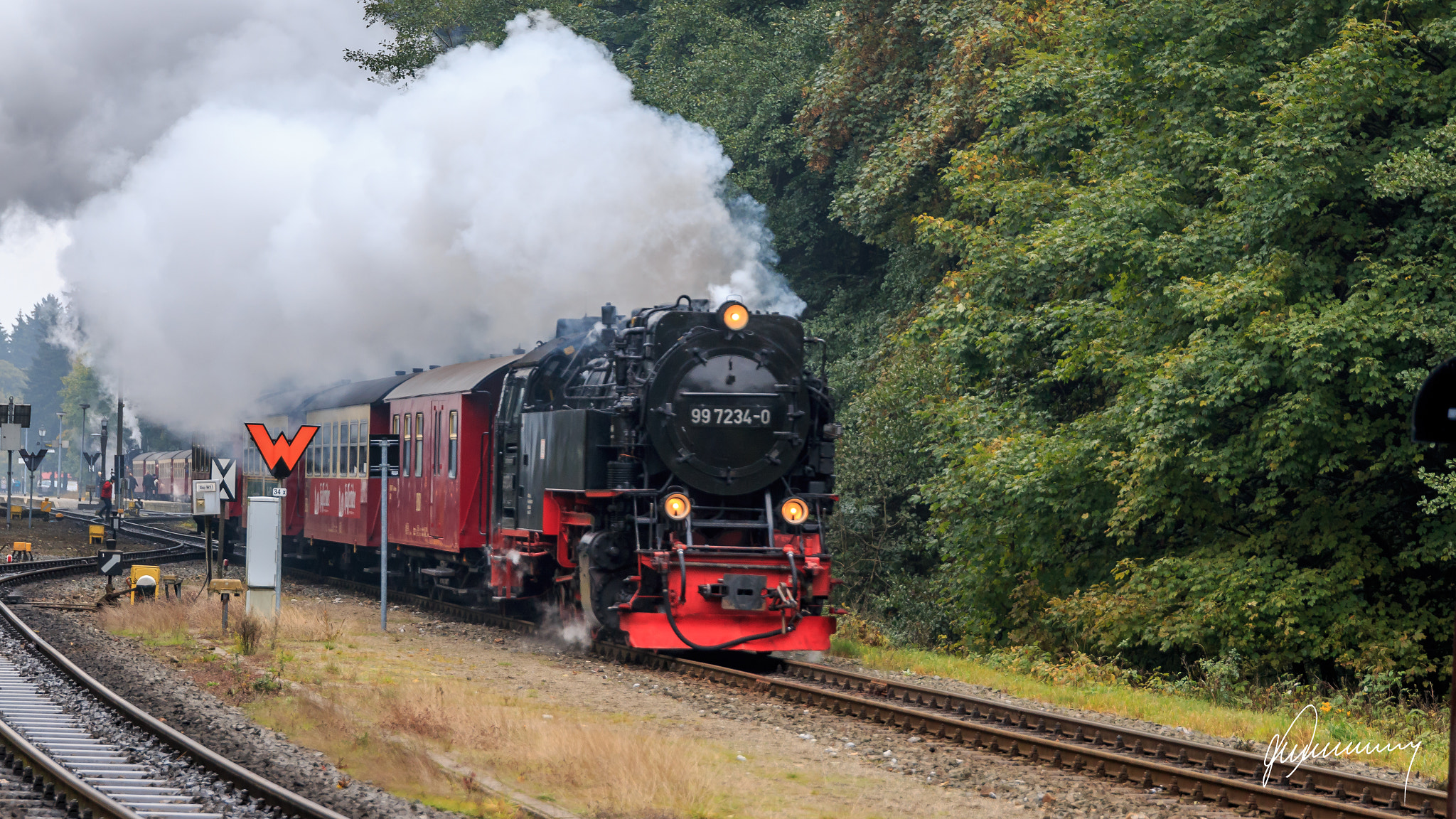 Sigma 24-105mm f/4 DG OS HSM | A sample photo. Harzquerbahn photography