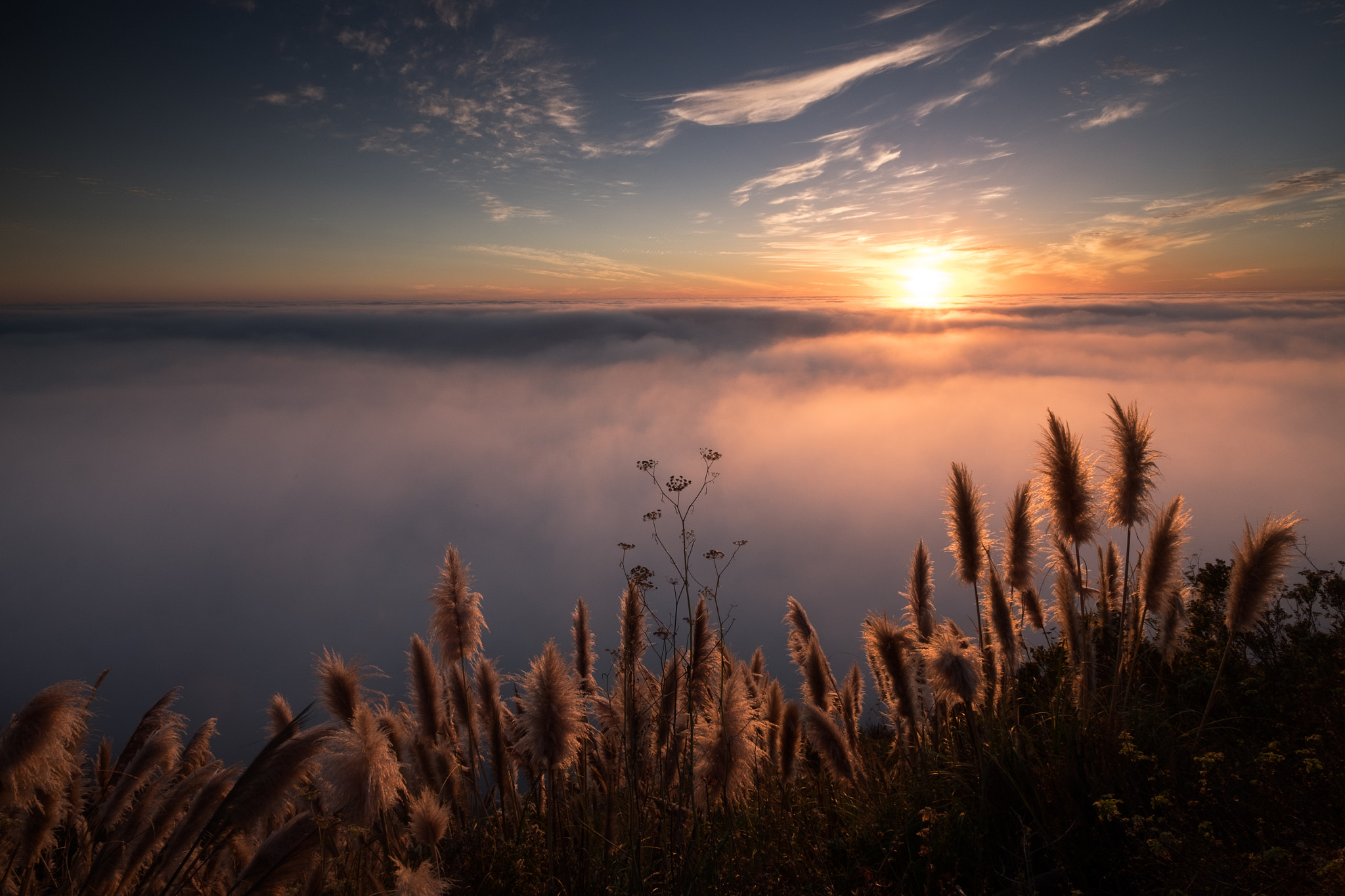 Fujifilm X-T1 + ZEISS Touit 12mm F2.8 sample photo. Over the pacific fog photography