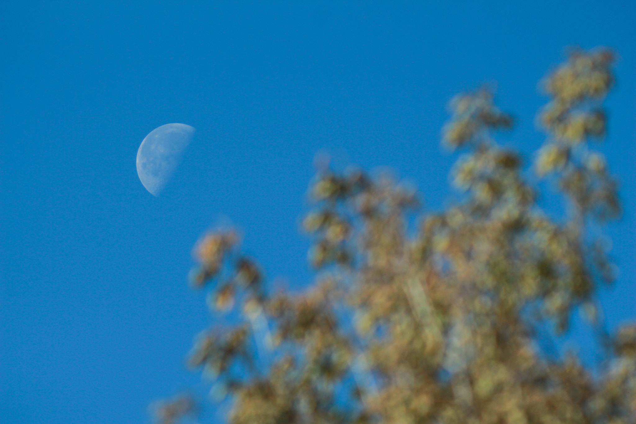 Canon EF 35-80mm f/4-5.6 sample photo. луна photography