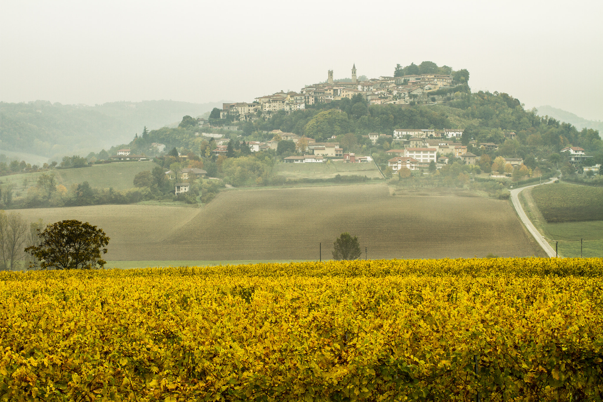 Canon EOS 7D + Canon EF 35mm F1.4L USM sample photo. Una mattina di ottobre nel monferrato photography