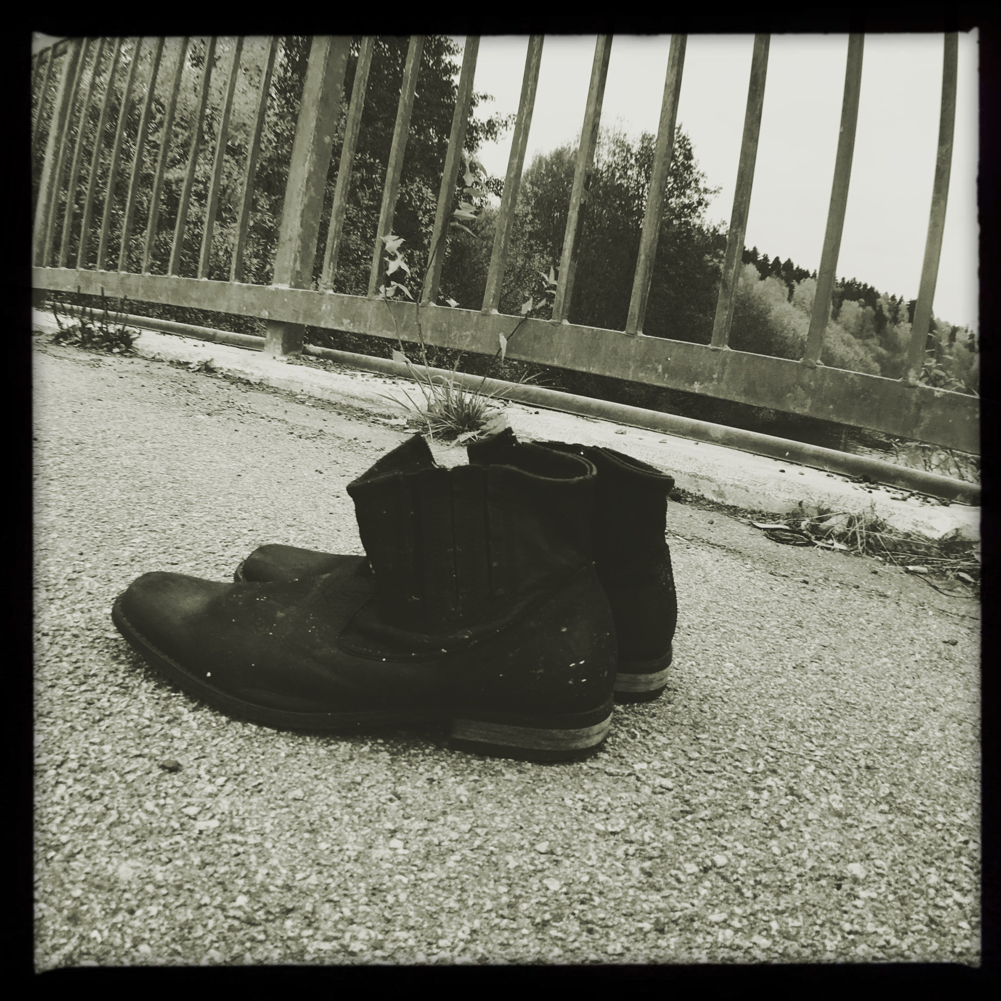 Hipstamatic 322 sample photo. -untitled- photography
