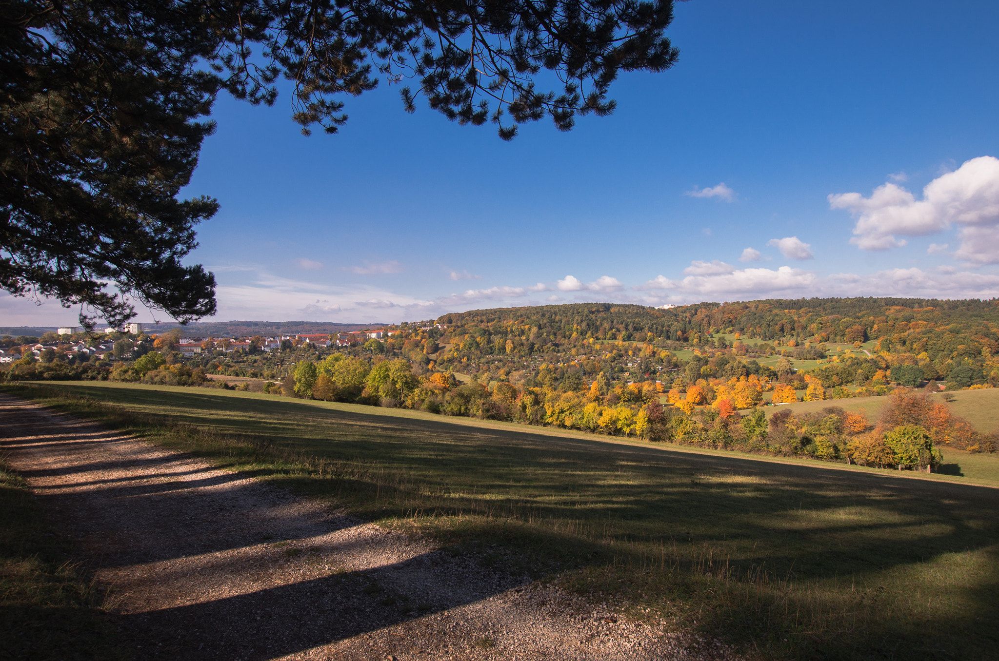 Sigma 10-20mm F3.5 EX DC HSM sample photo. Autumn photography