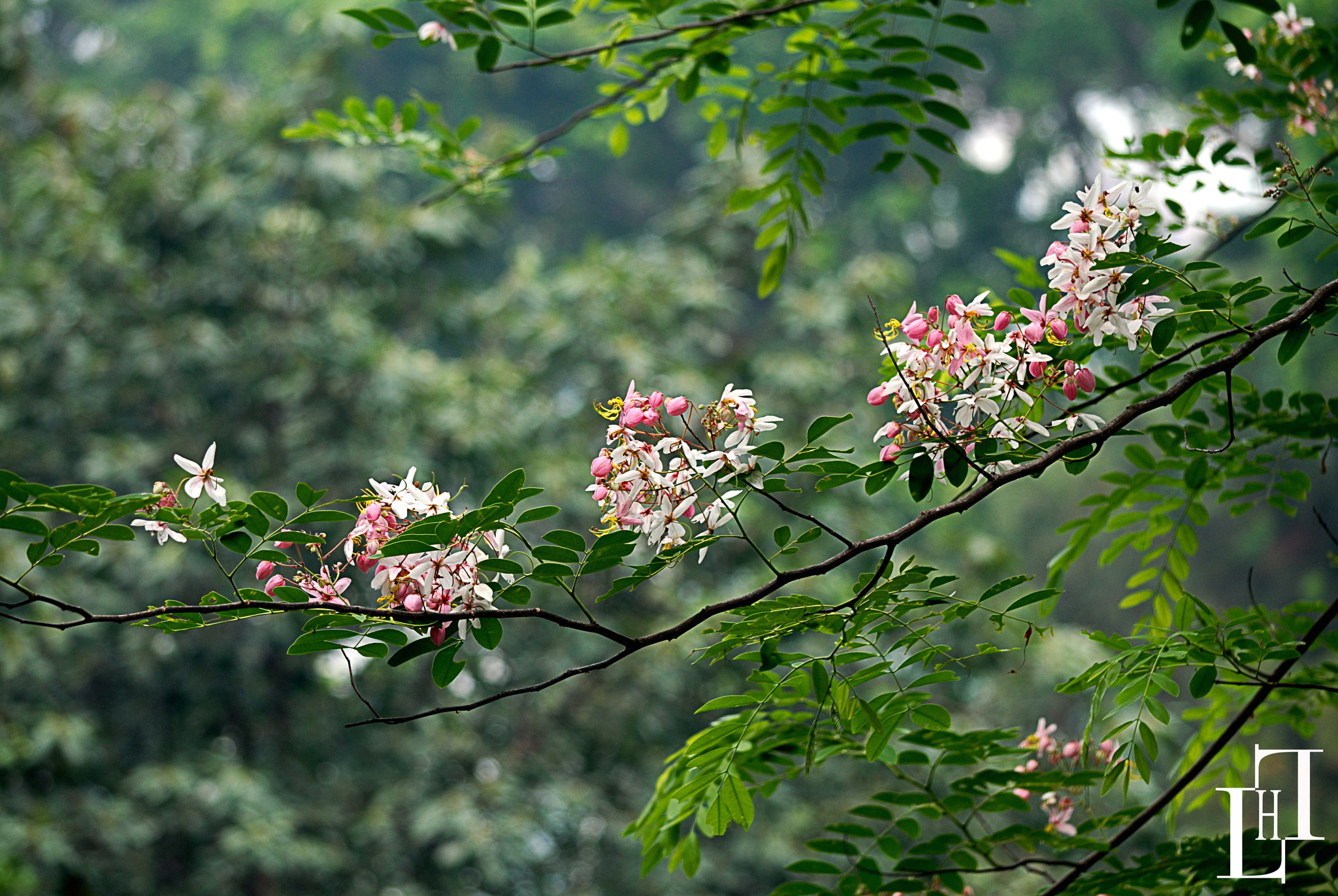 Nikon D200 sample photo. Dsc photography