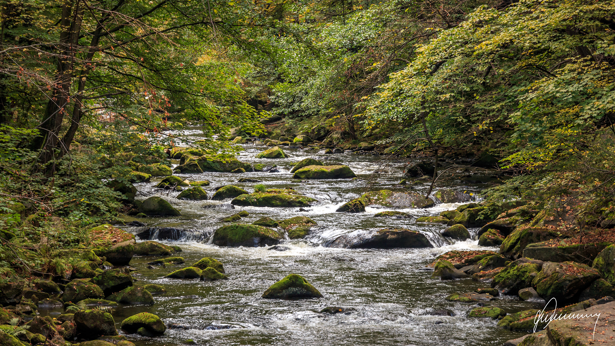 Canon EOS 70D + Sigma 24-105mm f/4 DG OS HSM | A sample photo. Bodetal photography