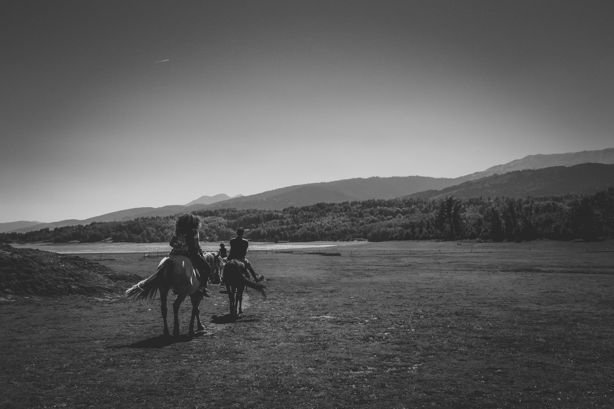 Olympus OM-D E-M10 sample photo. It's all about finding the calm in the chaos. photography