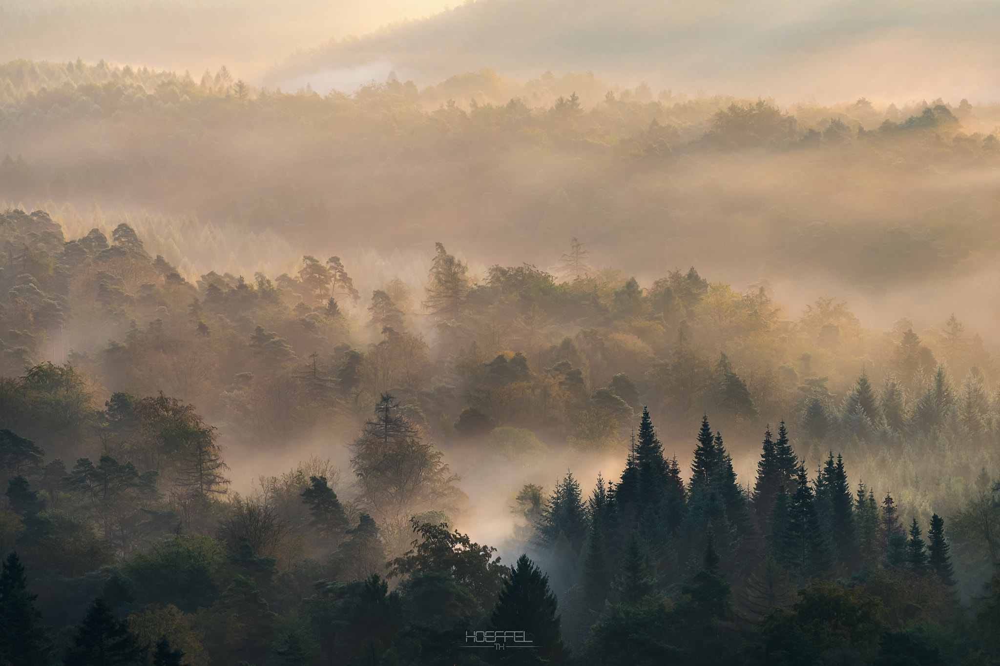 Tamron 18-270mm F3.5-6.3 Di II PZD sample photo. Tree islands photography