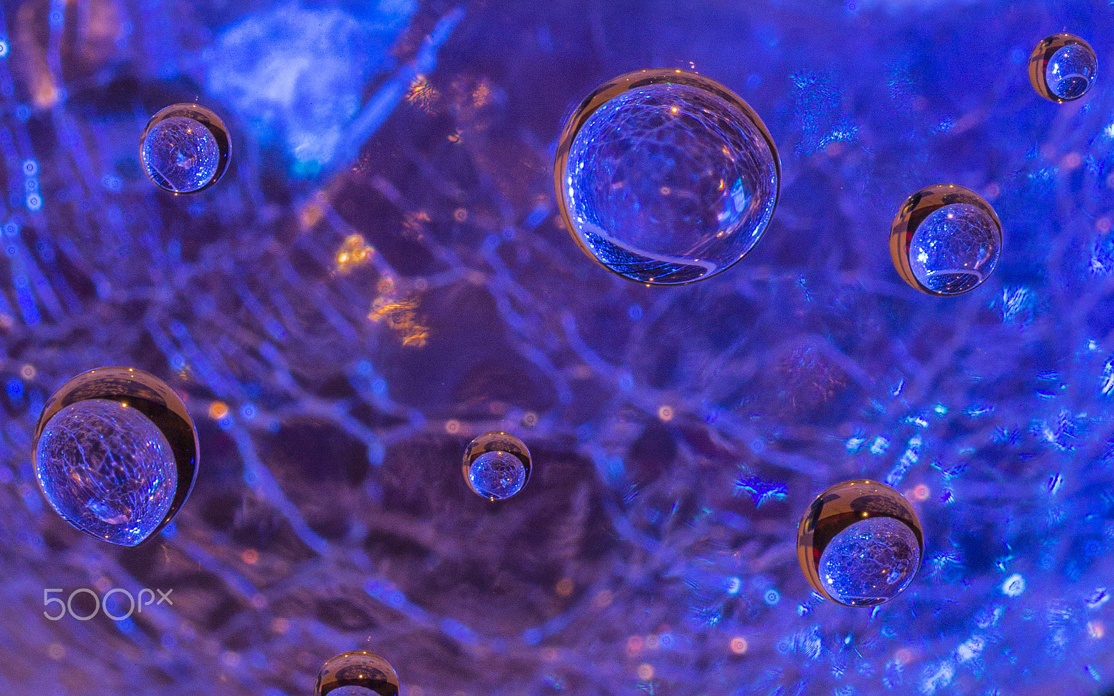 Sigma 105mm F2.8 EX DG OS HSM sample photo. Out of the deep photography