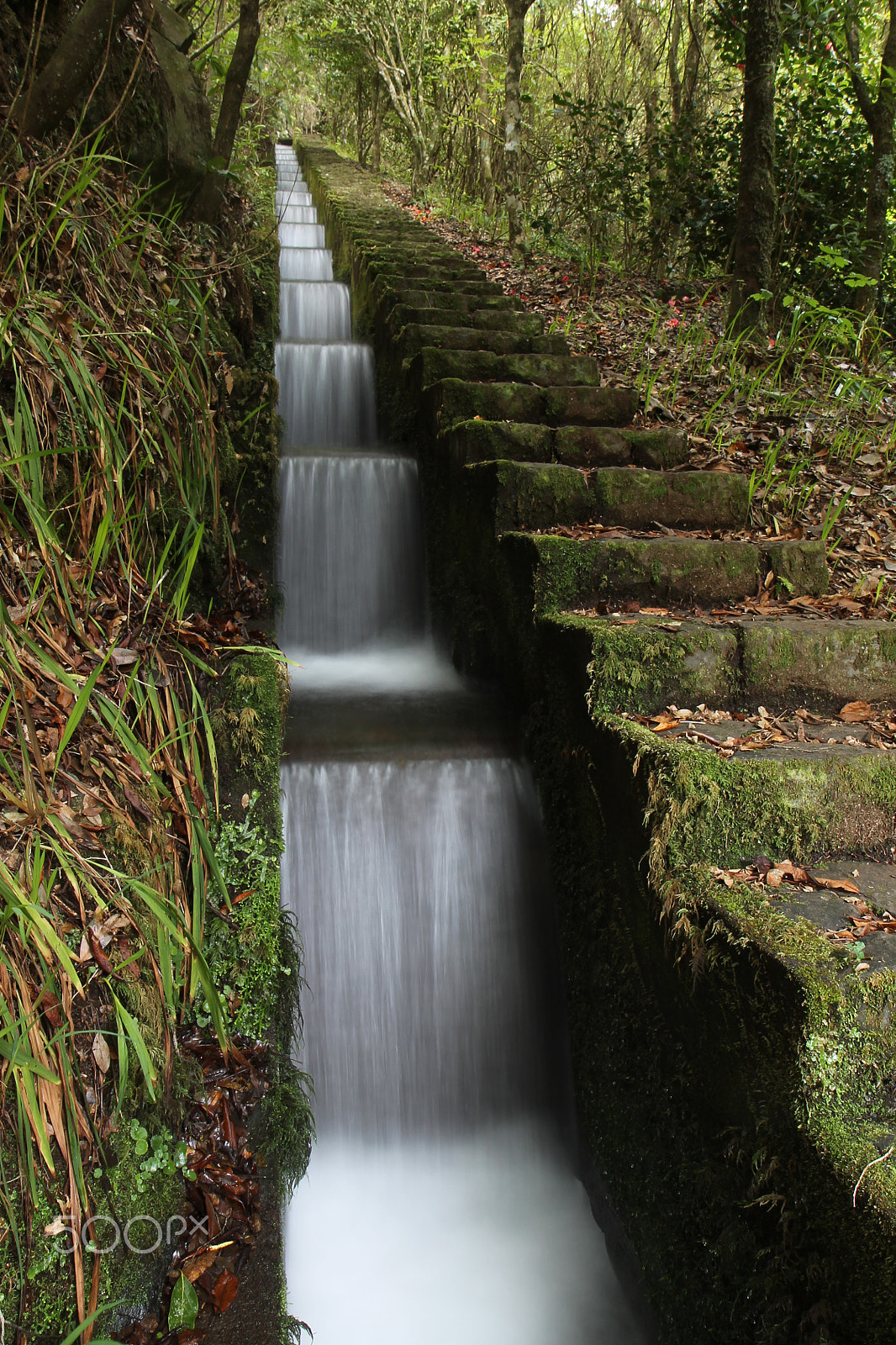 Canon EF-S 17-55mm F2.8 IS USM sample photo. Madeira island - portugal photography