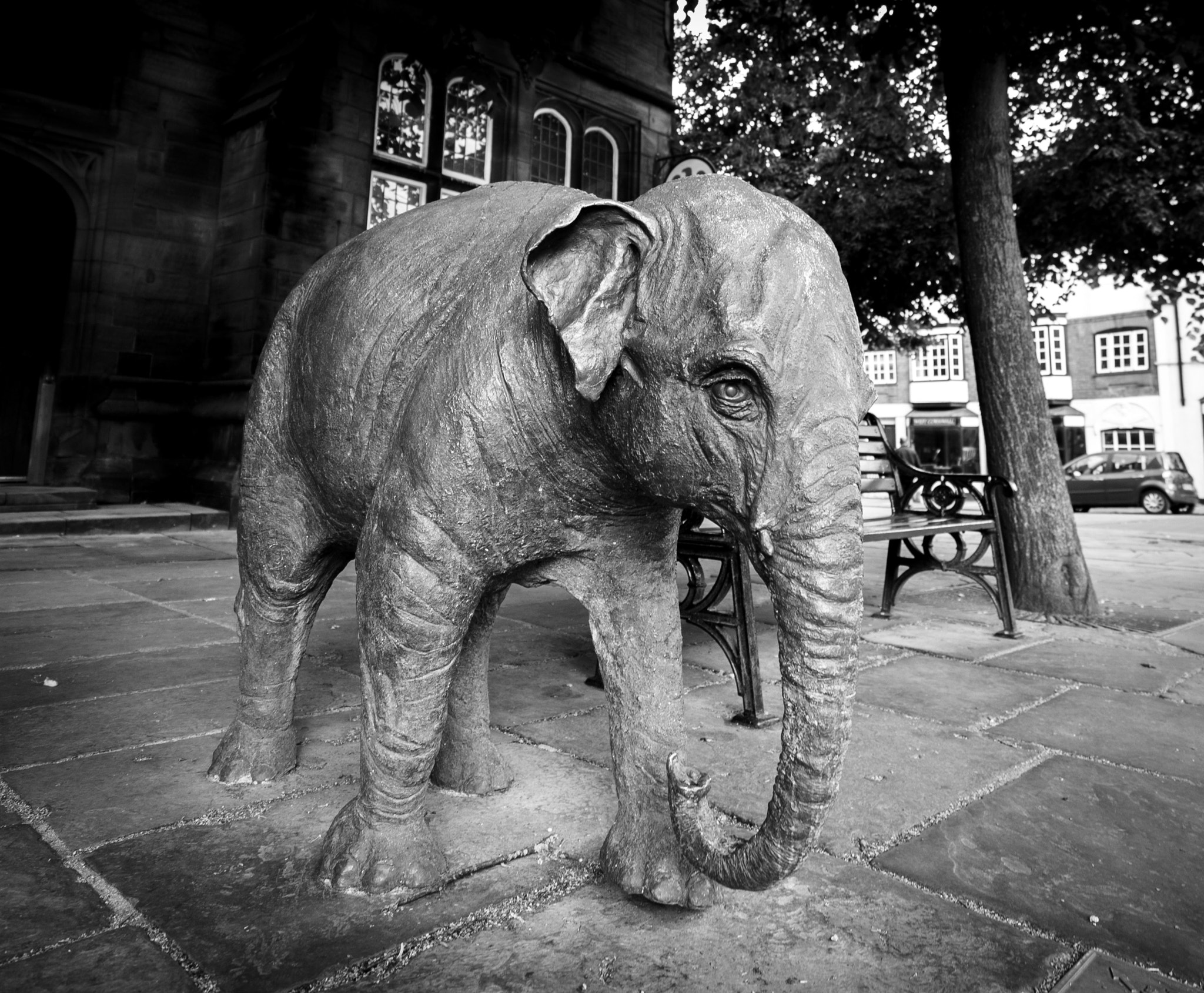 Sony a7S + Sony Vario-Tessar T* FE 16-35mm F4 ZA OSS sample photo. Elephant statue photography
