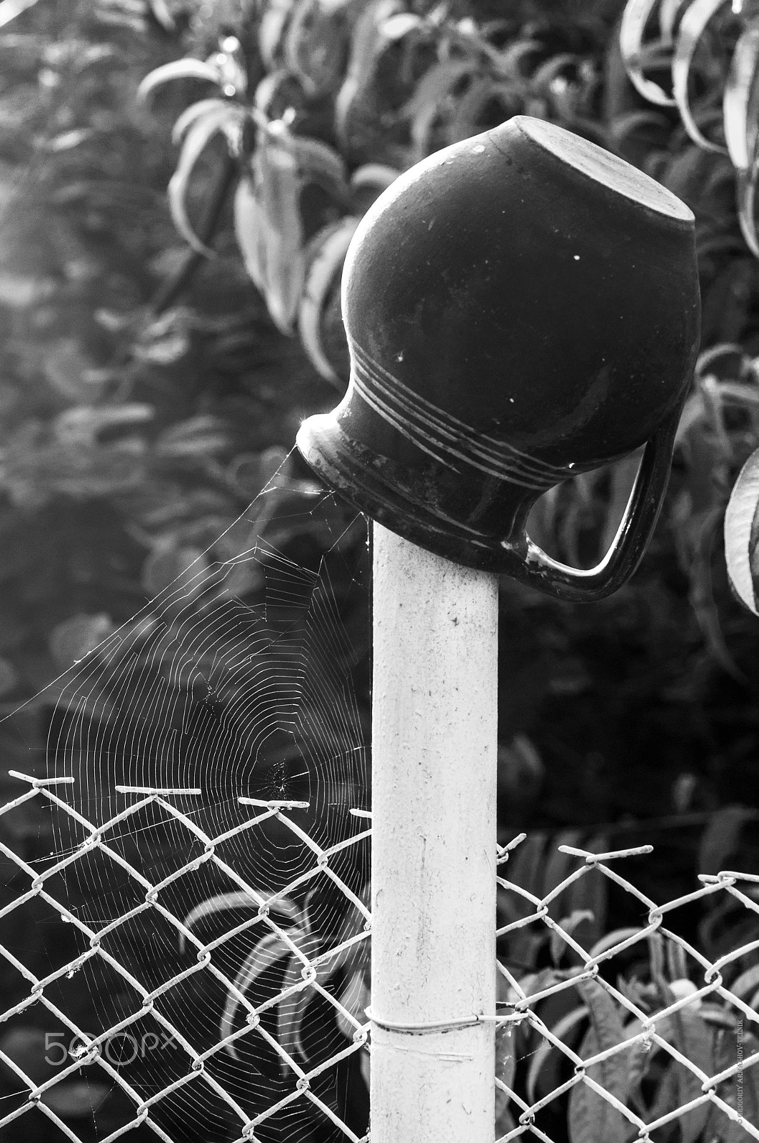 Sigma 105mm F2.8 EX DG OS HSM sample photo. Web photography