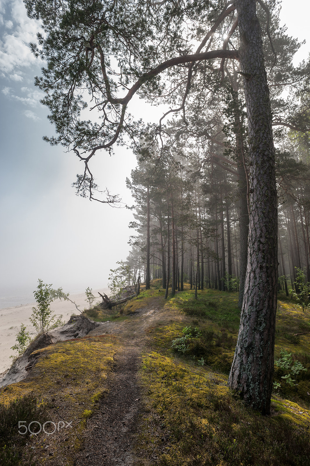 Nikon D700 + AF Nikkor 20mm f/2.8 sample photo. Foggy morning on the bank of baltic photography