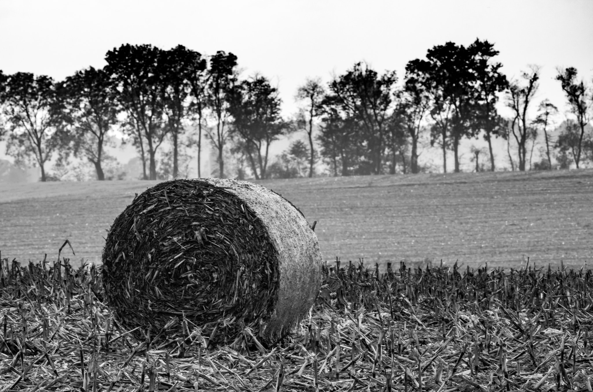 Canon EF 100-400mm F4.5-5.6L IS USM sample photo. Lonely bale photography