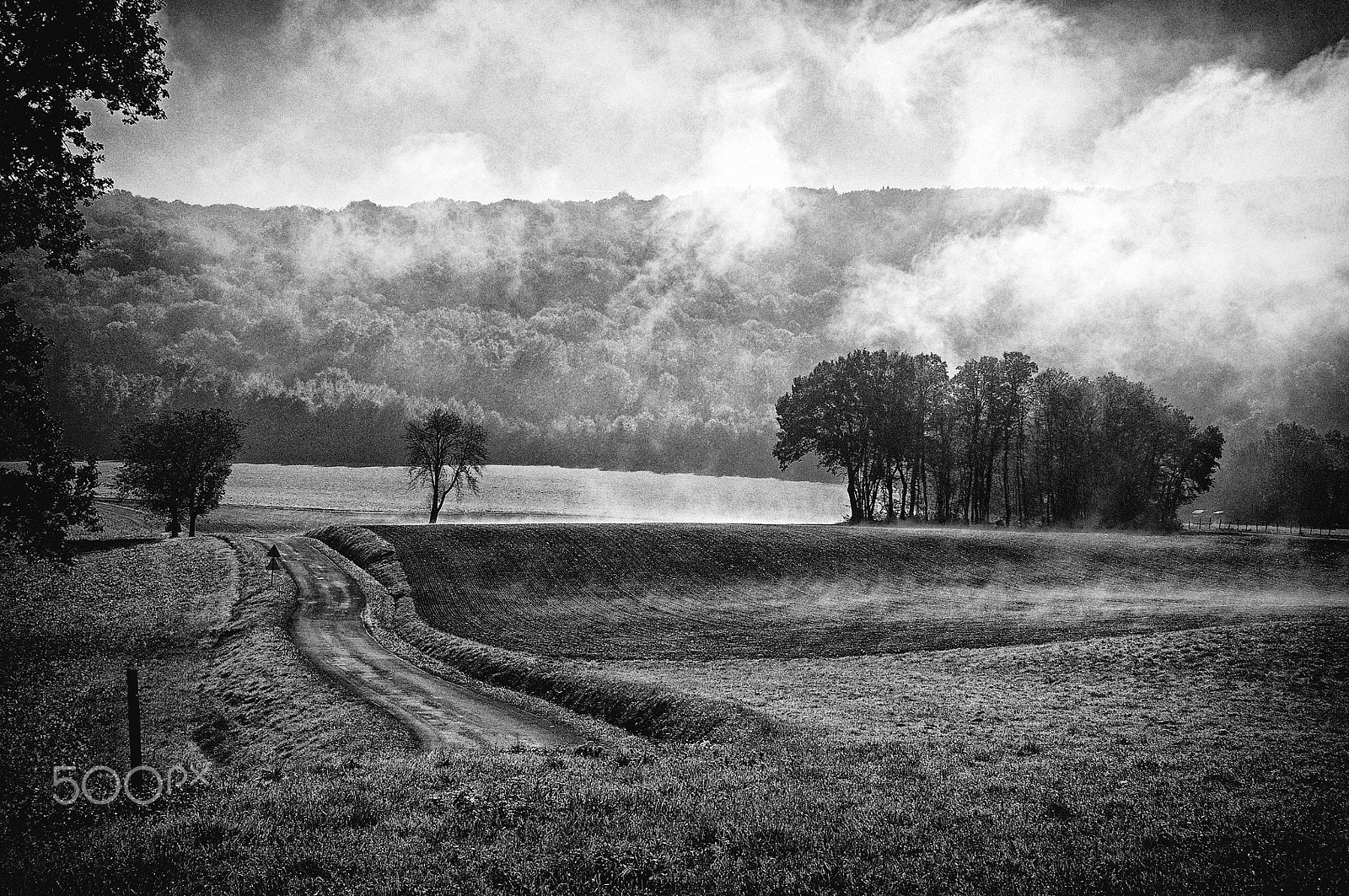 Nikon D300 sample photo. Songe d'un matin d'automne photography