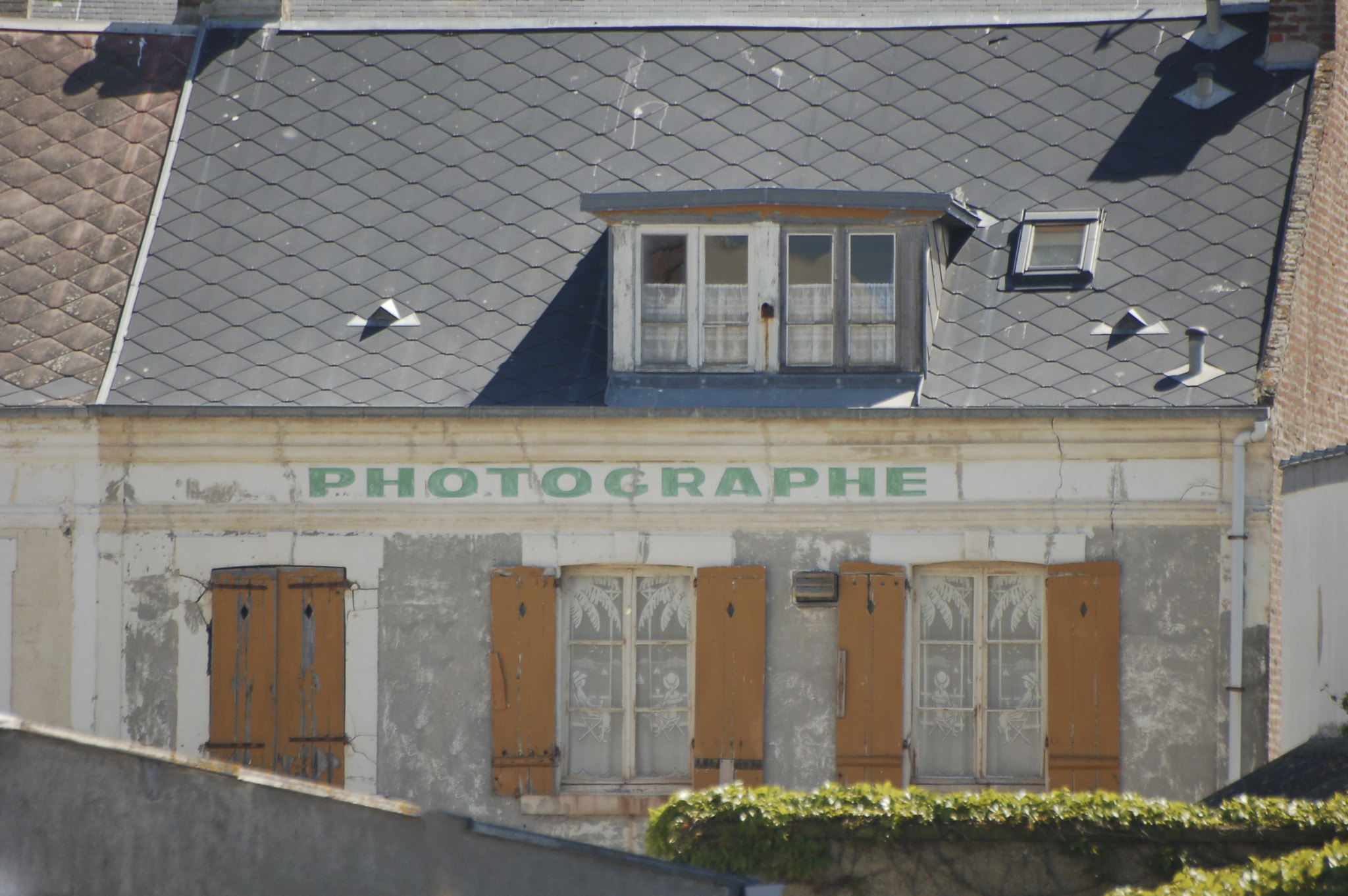 Nikon D50 sample photo. Probably the best photographer in the world... photography