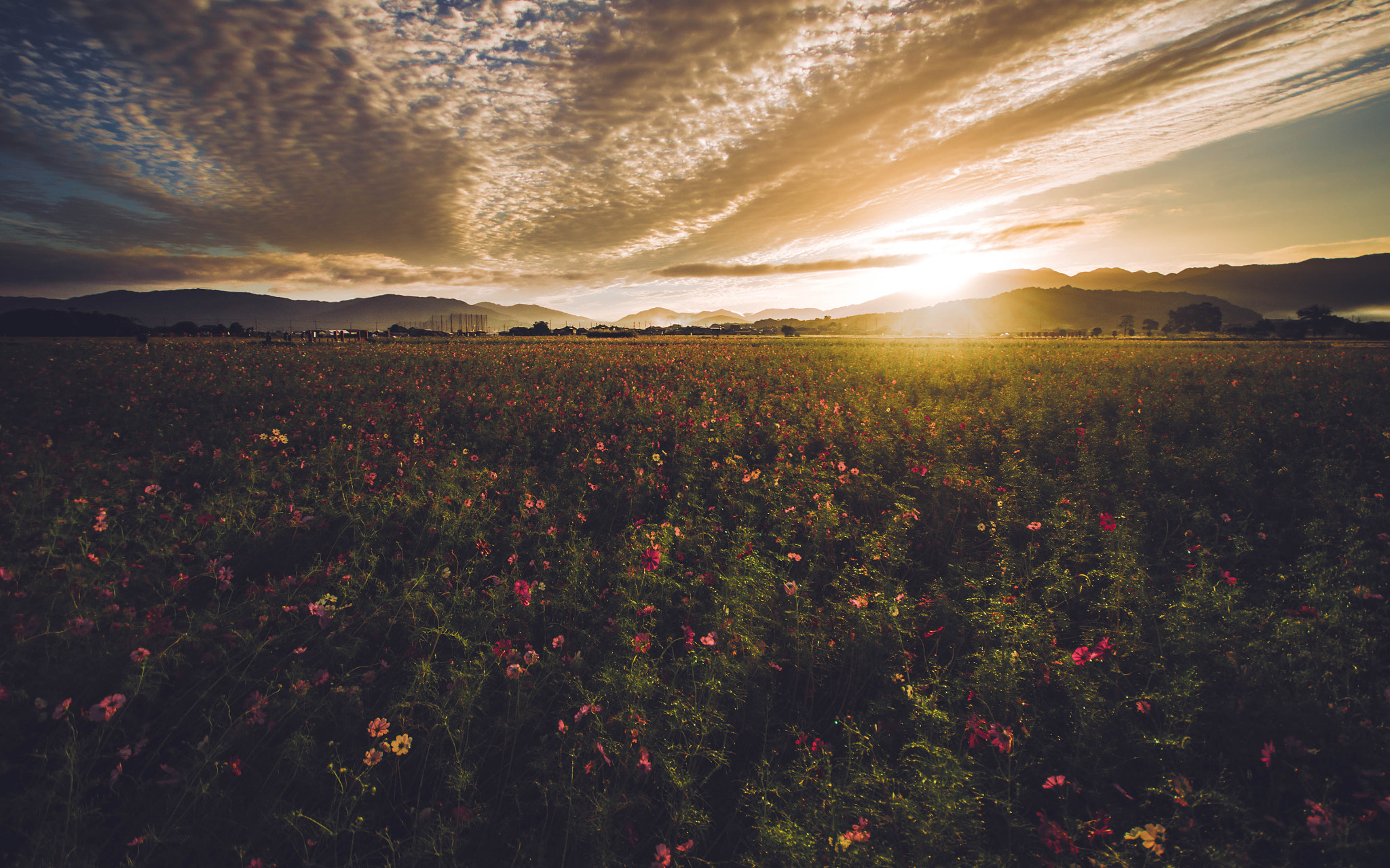 Sigma AF 10-20mm F4-5.6 EX DC sample photo. Good sky & cosmos photography