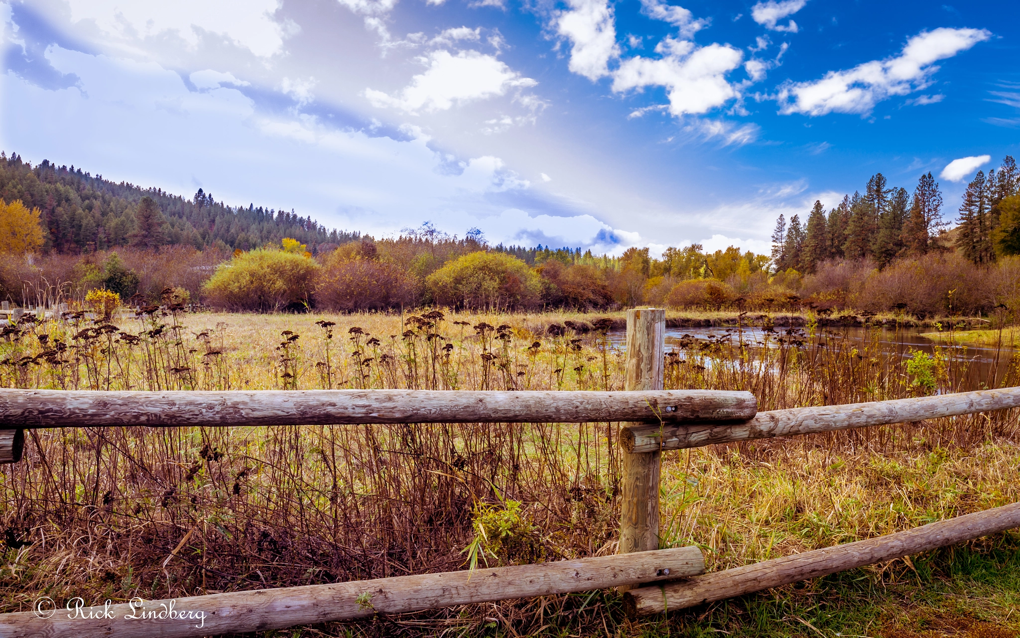 Pentax K-5 + A Series Lens sample photo. Fenced in photography