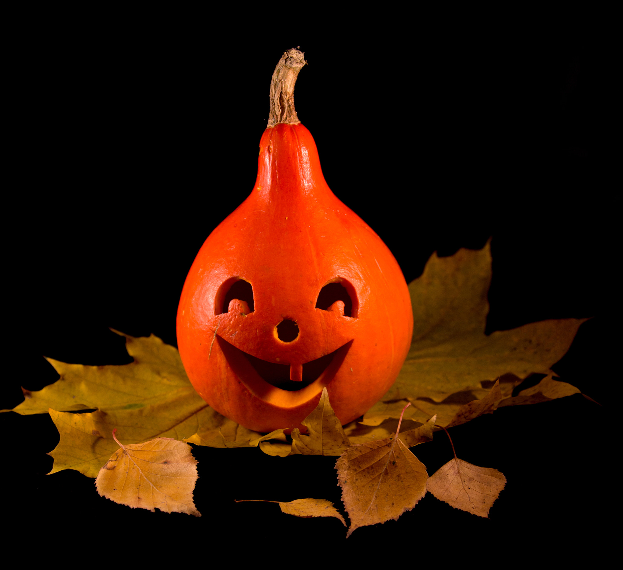 Canon EF 28-300mm F3.5-5.6L IS USM sample photo. Halloween pumpkin photography