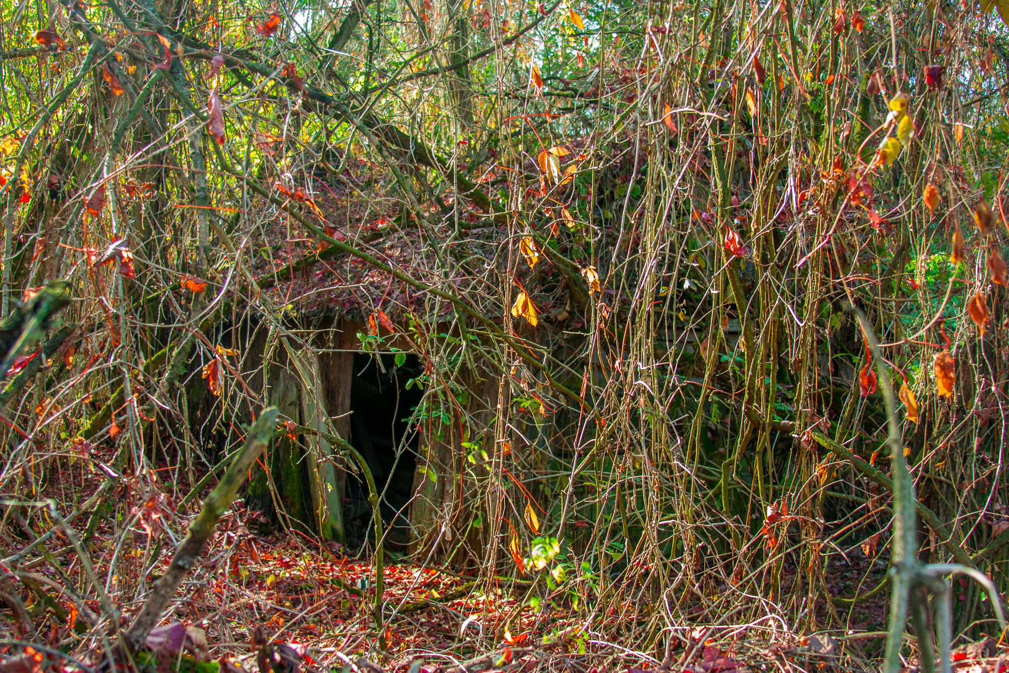 Canon EF 28-135mm F3.5-5.6 IS USM sample photo. Try to find house. chornobyl. photography