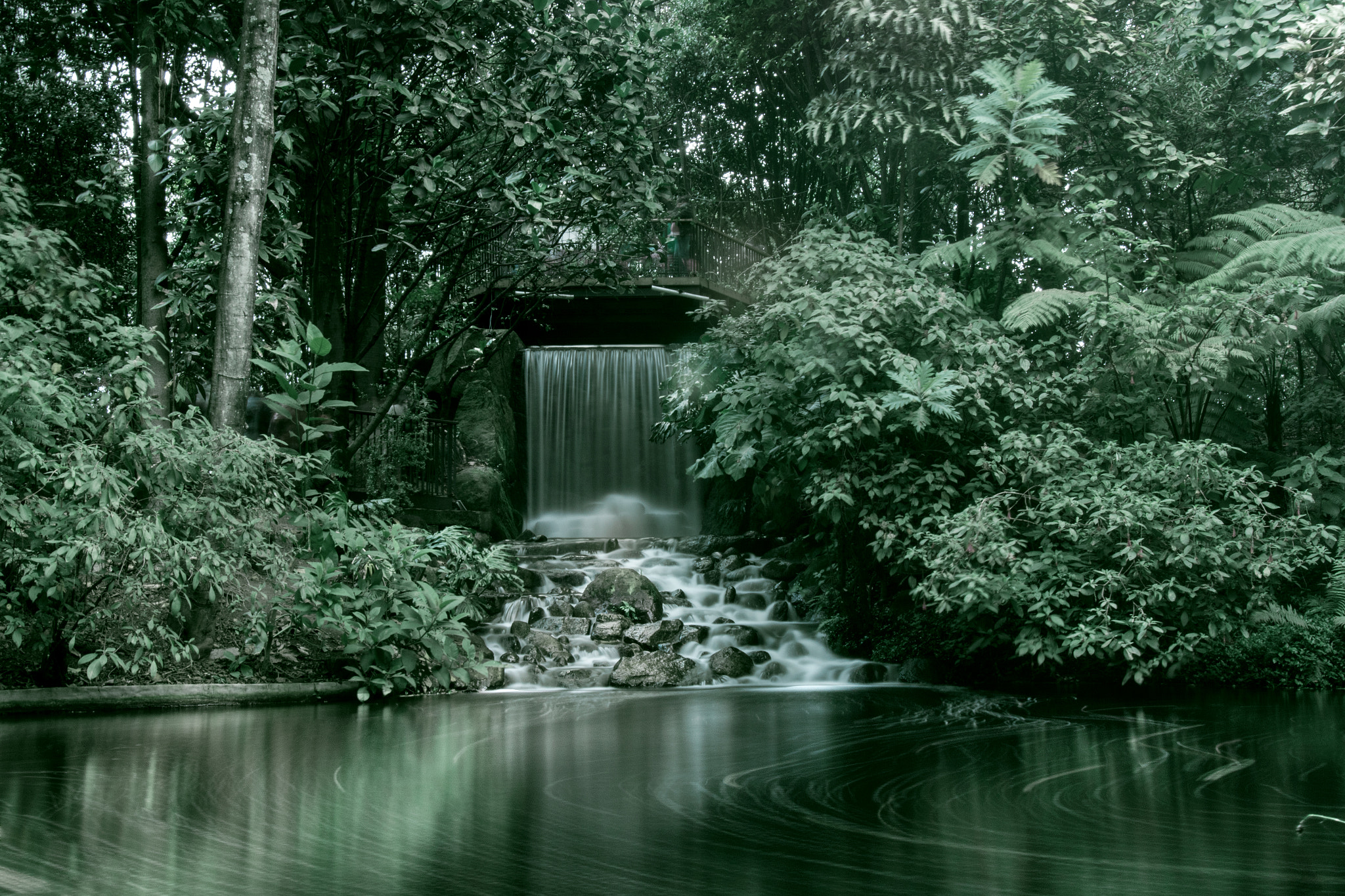 Canon EF 16-35mm F2.8L USM sample photo. Jardín botánico photography