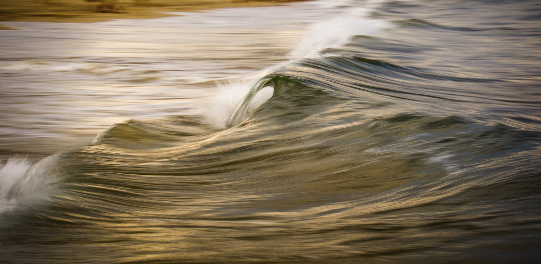 Sony E 18-200mm F3.5-6.3 OSS LE sample photo. Beauty in motion photography