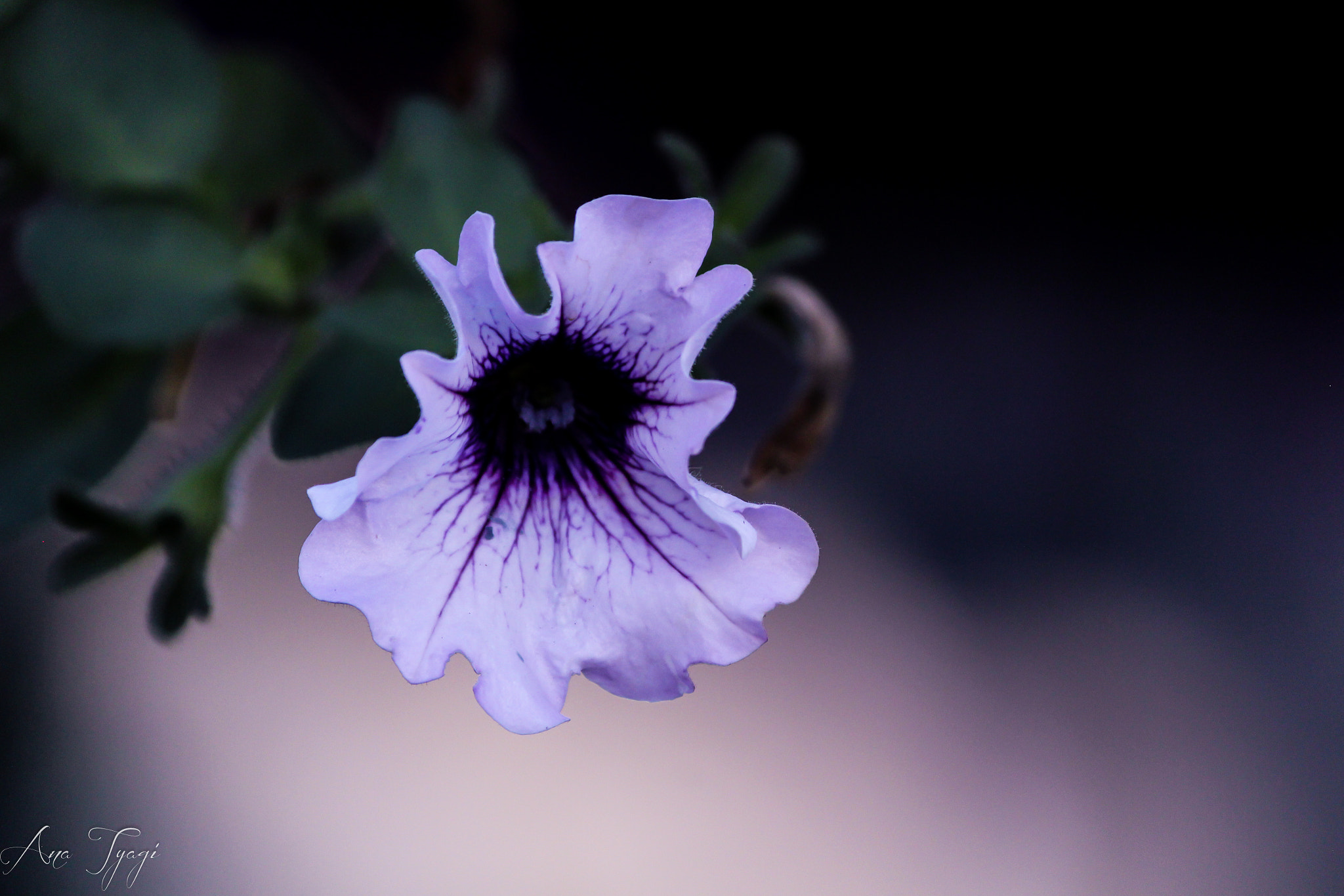 Canon EOS 650D (EOS Rebel T4i / EOS Kiss X6i) sample photo. Just breathe... photography