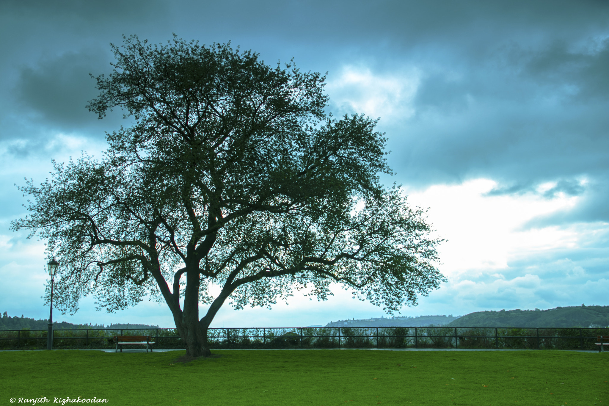 Canon EF-S 18-135mm F3.5-5.6 IS sample photo. A lonelt tree at vsyhrad hill , prague photography