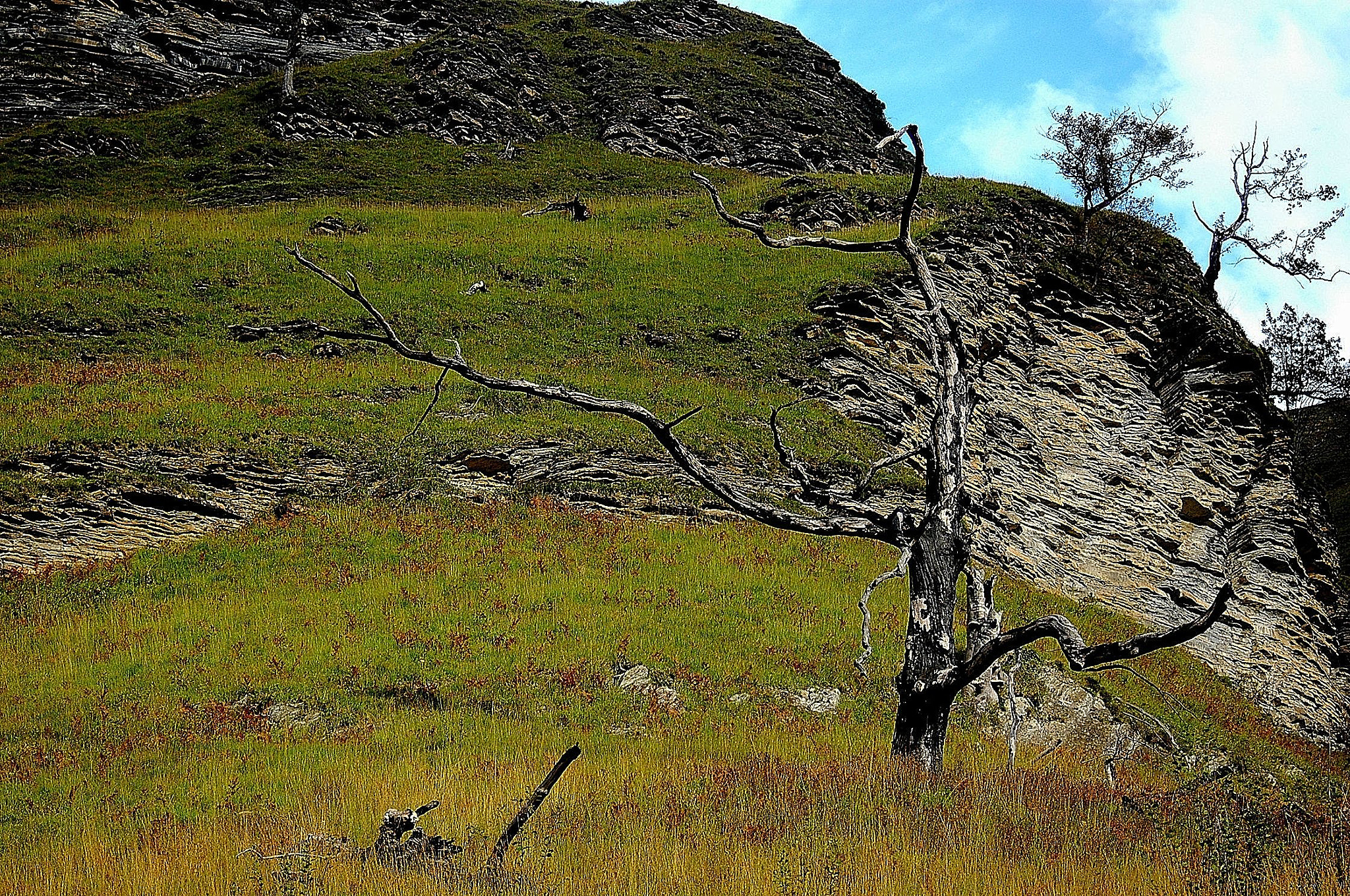 AF Zoom-Nikkor 28-80mm f/3.3-5.6G sample photo. Holtzarte photography