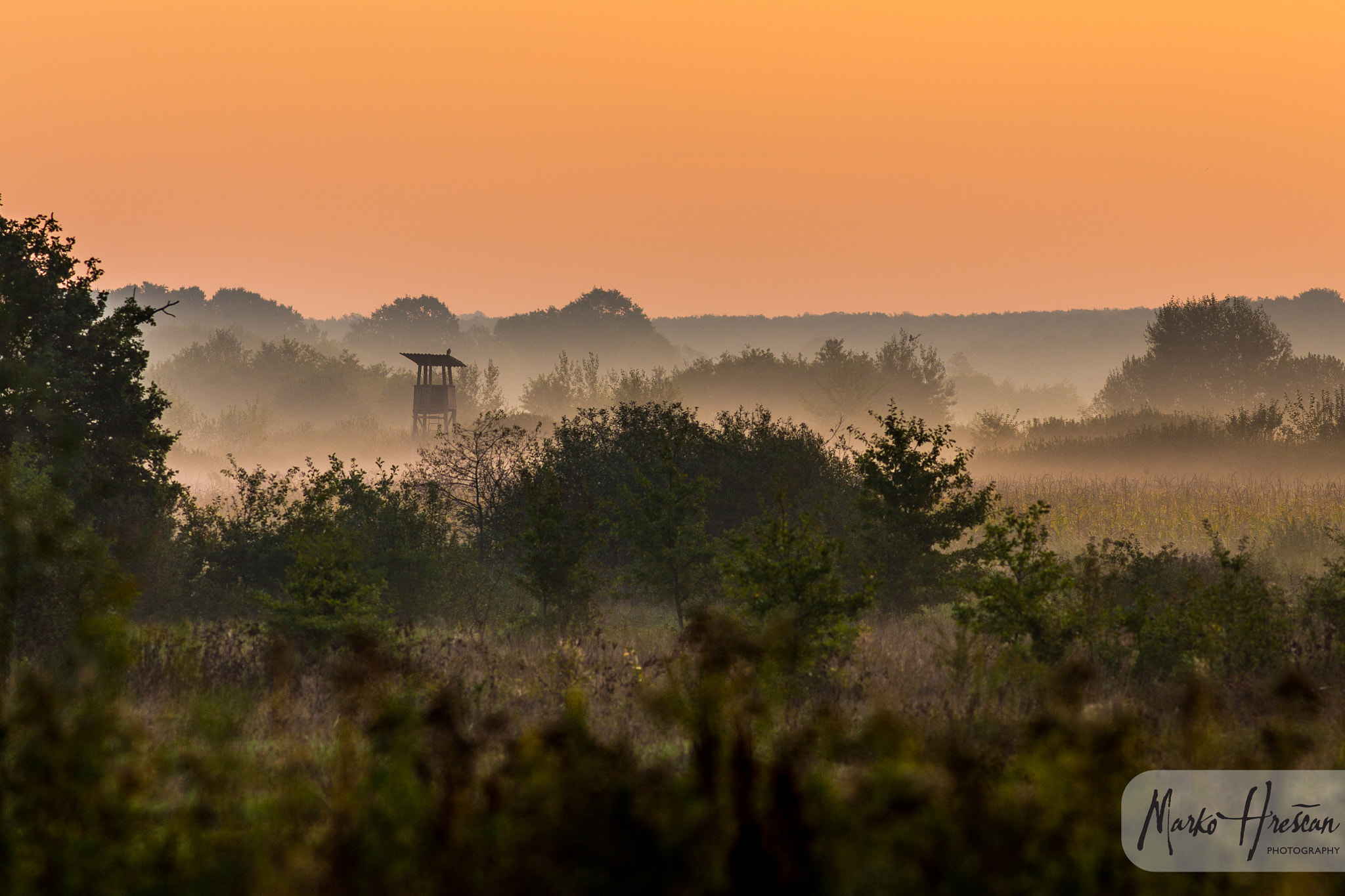 Canon EOS 6D + Canon EF 200mm F2.8L II USM sample photo. Hawk in the distance photography