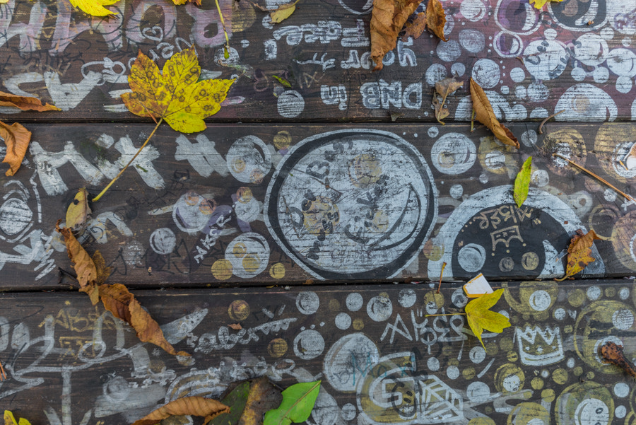 Sigma 12-24mm F4.5-5.6 II DG HSM sample photo. Art table autumn photography