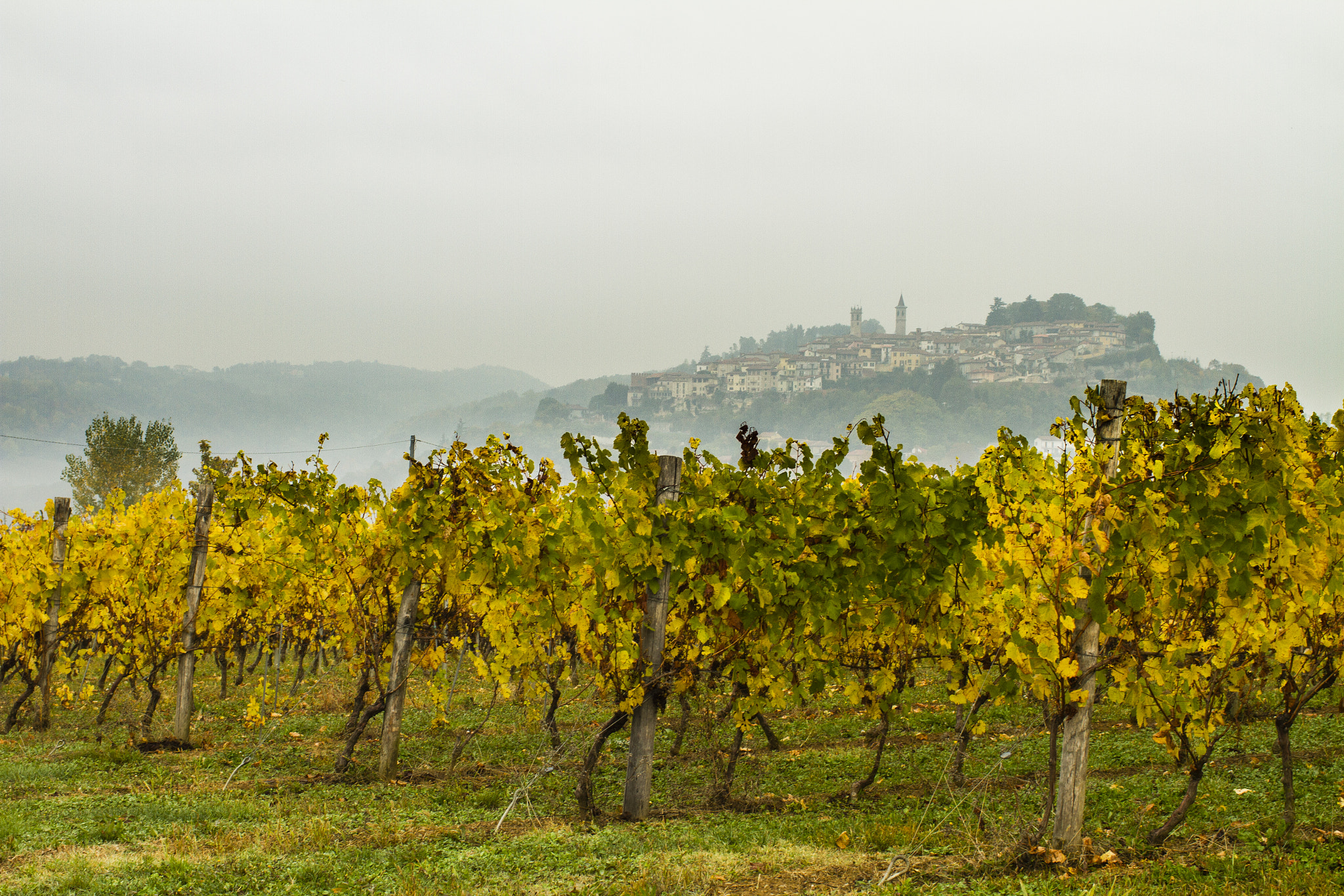 Canon EOS 7D + Canon EF 35mm F1.4L USM sample photo. La vista dalle vigne photography