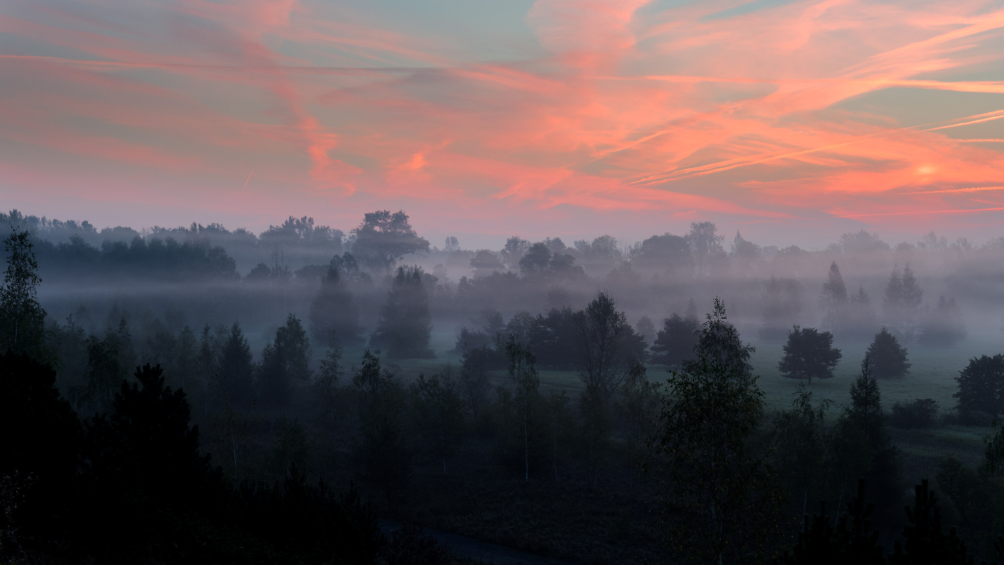Nikon AF-S Nikkor 16-35mm F4G ED VR sample photo. Misty morning photography