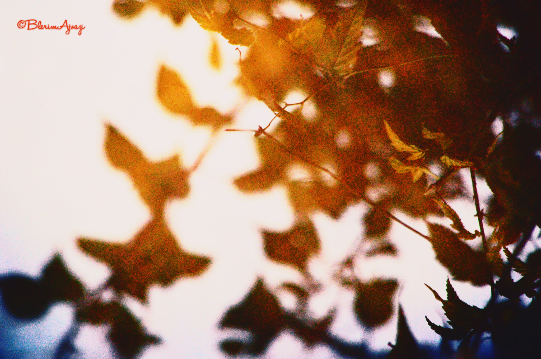 Nikon D3200 + Sigma 28-200mm F3.5-5.6 Compact Aspherical Hyperzoom Macro sample photo. Autumn reflection photography