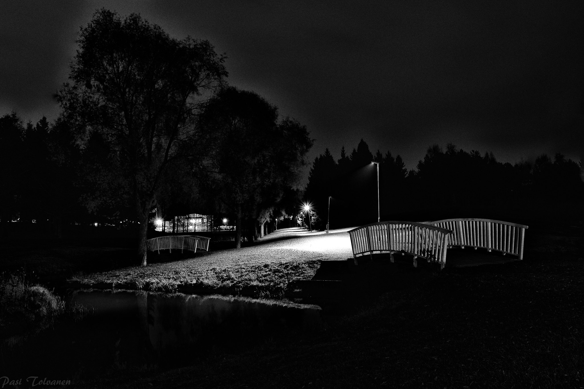 Nikon Df sample photo. Night at park photography