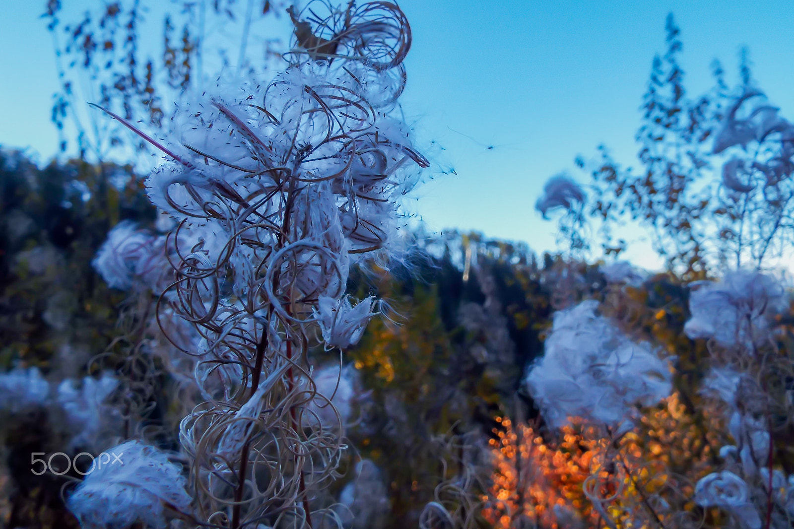 Fujifilm FinePix S8300 sample photo. Autumn 2015 photography