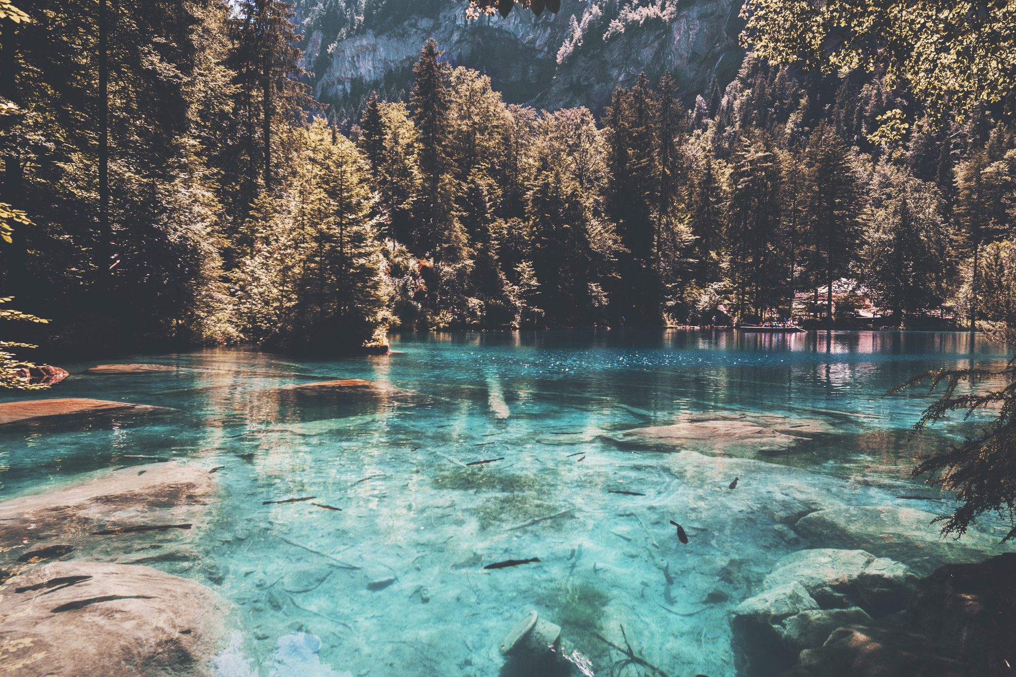 Nikon AF-S Nikkor 16-35mm F4G ED VR sample photo. Swiss lakes are the best lakes. photography