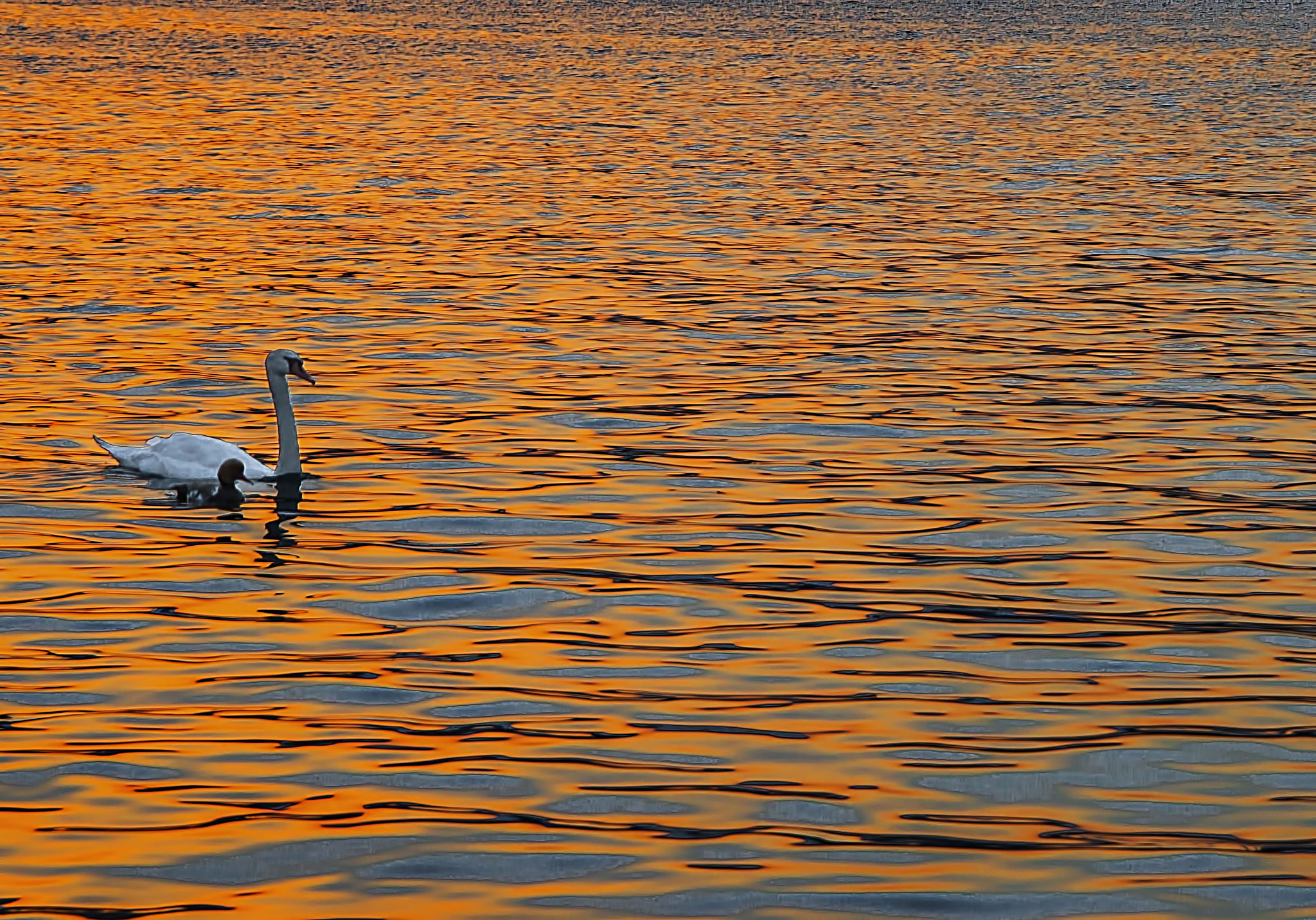 Nikon D800E sample photo. Lake geneva photography