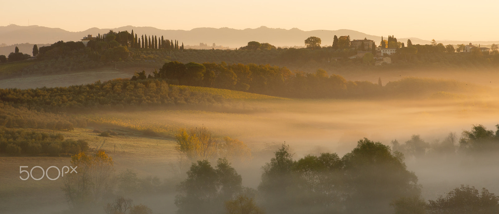 Tamron SP 24-70mm F2.8 Di VC USD sample photo. Misty morning from my window photography
