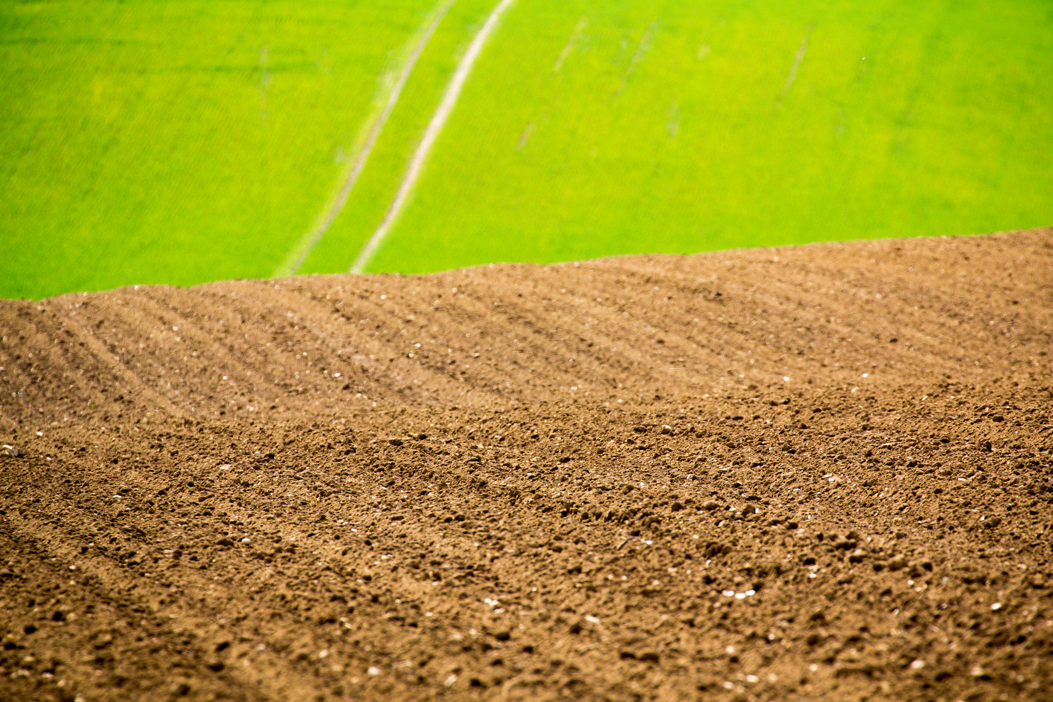 Canon EF 70-300mm F4-5.6L IS USM sample photo. The grass is greener on the other side photography