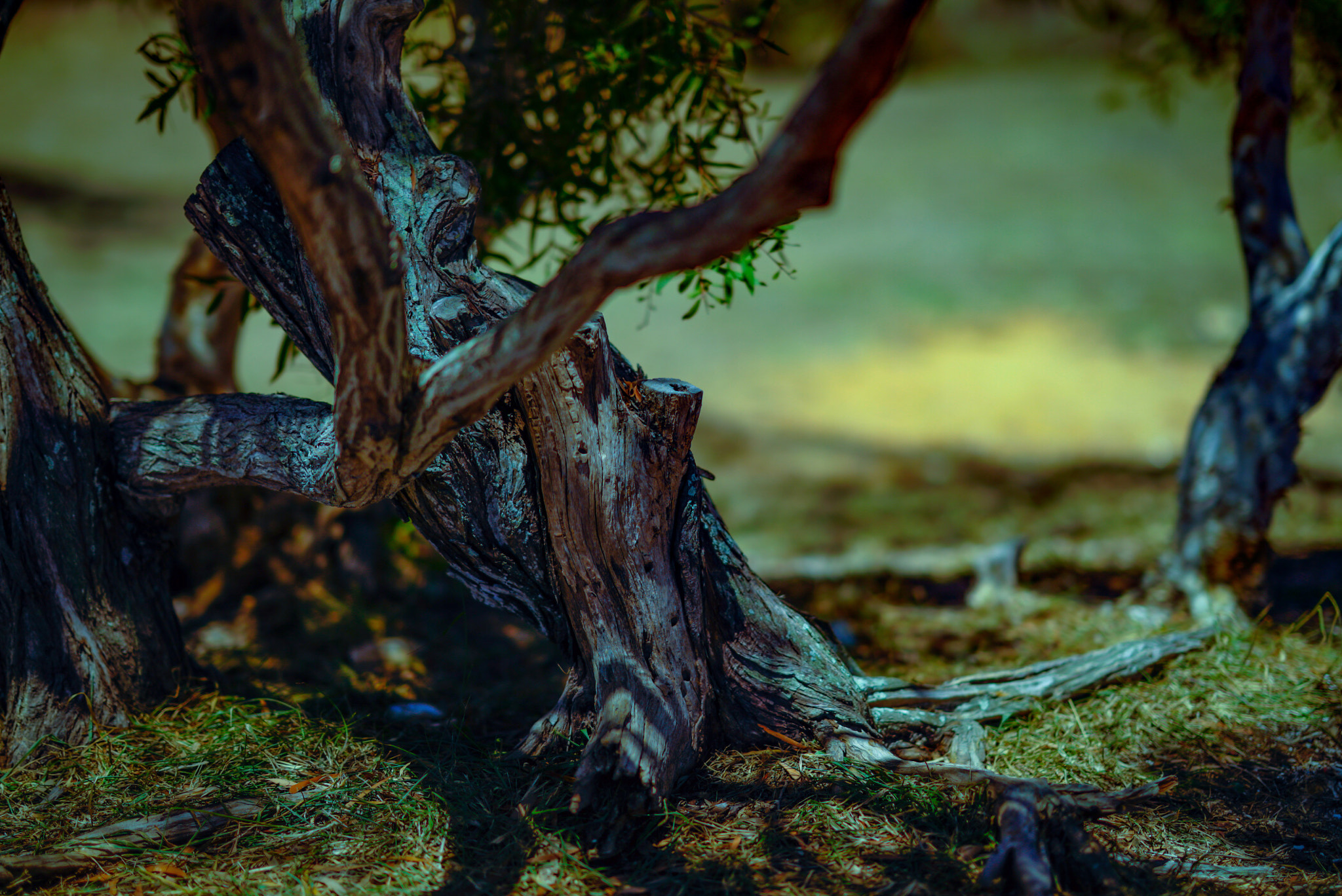 Sony FE 85mm F1.4 GM sample photo. Shadows light photography