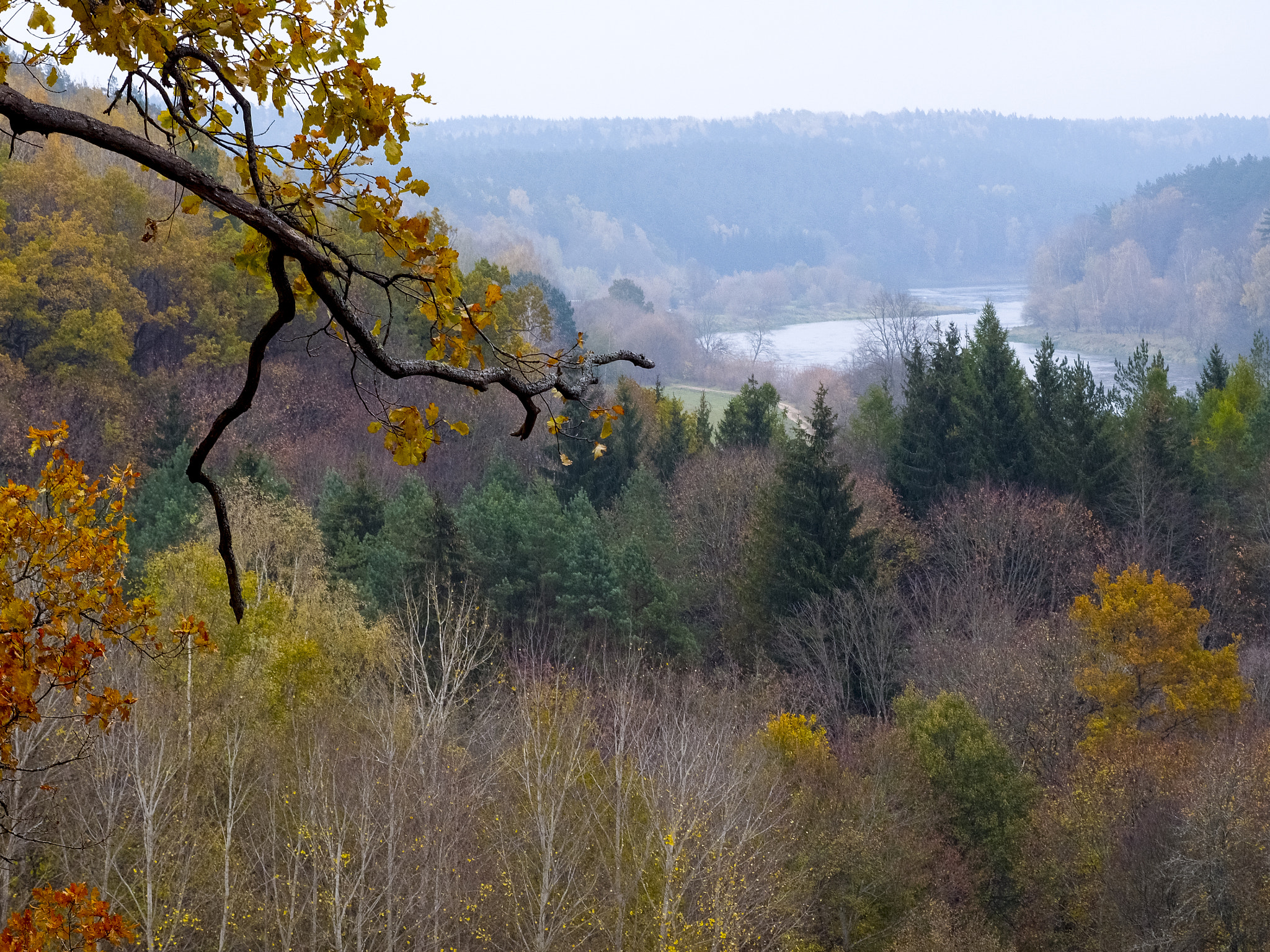 Olympus Zuiko Digital ED 70-300mm F4.0-5.6 sample photo. Autumn in lithuania photography
