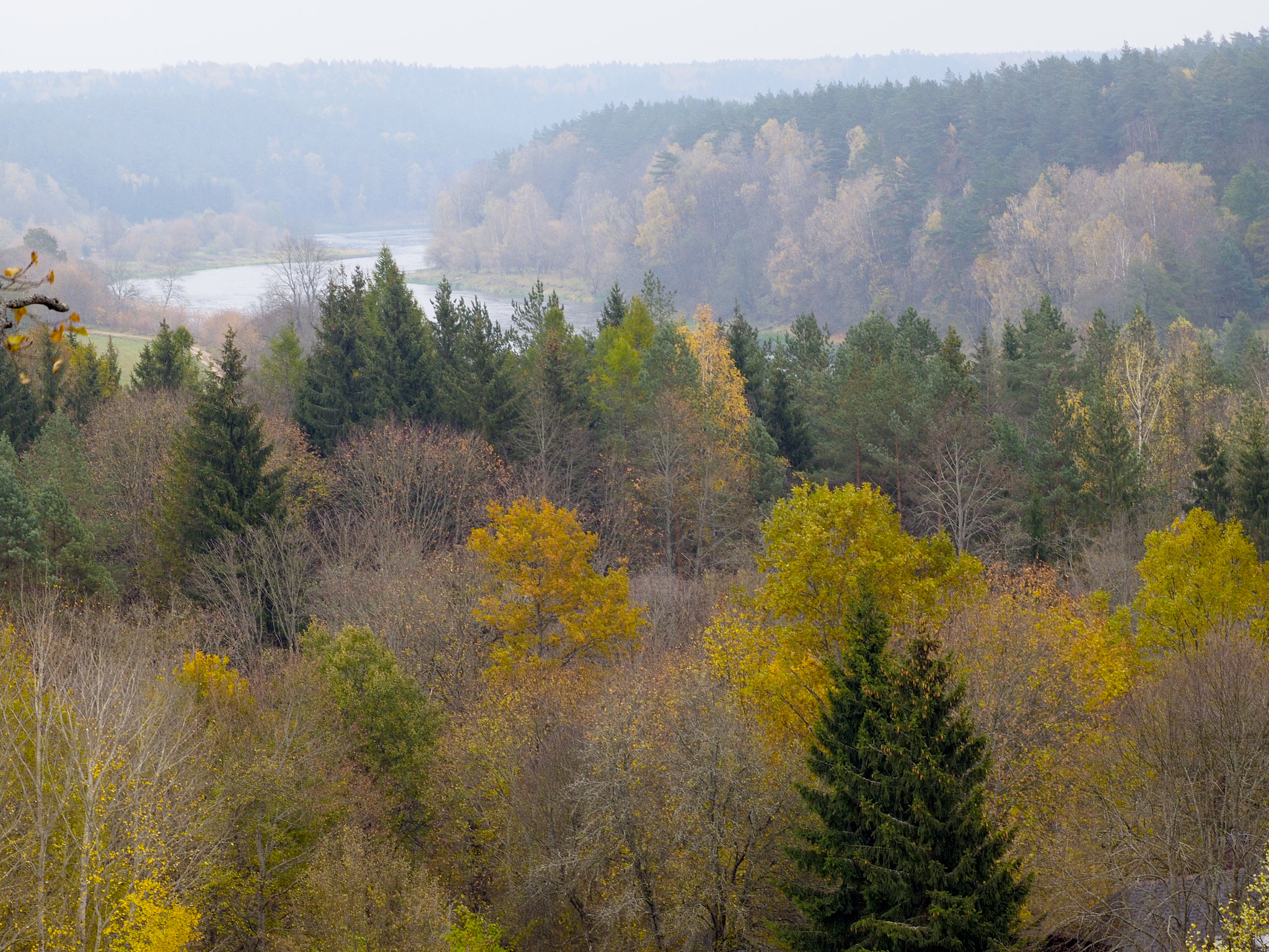 Olympus Zuiko Digital ED 70-300mm F4.0-5.6 sample photo. Autumn in lithuania photography