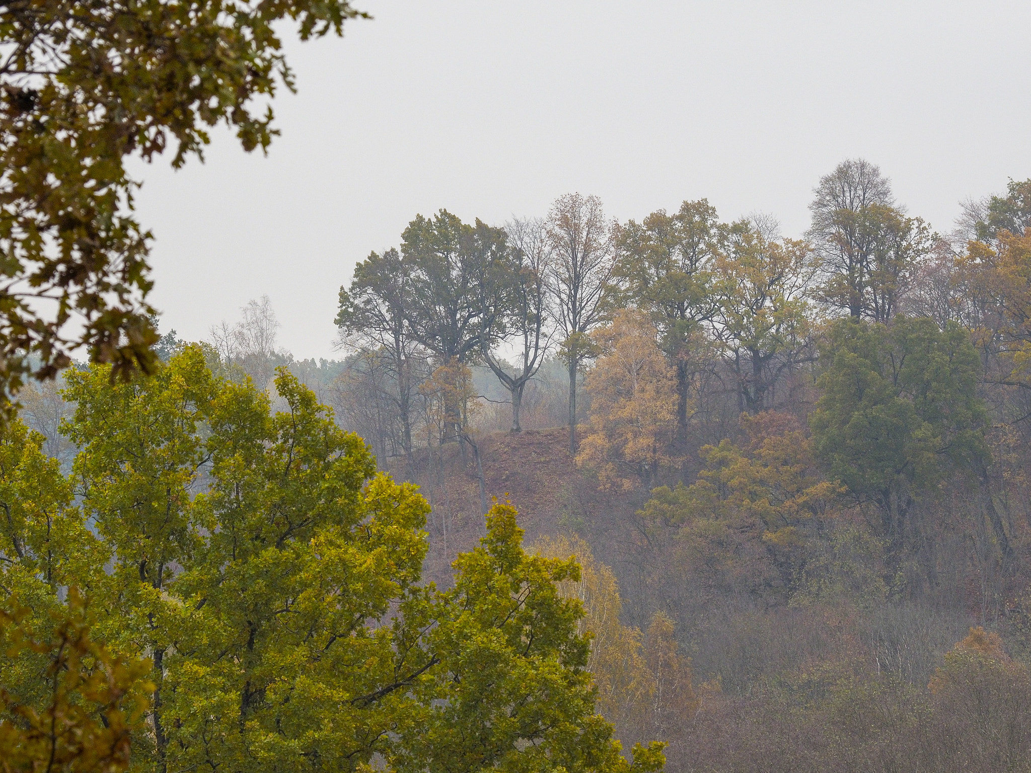 Olympus Zuiko Digital ED 70-300mm F4.0-5.6 sample photo. Autumn in lithuania photography