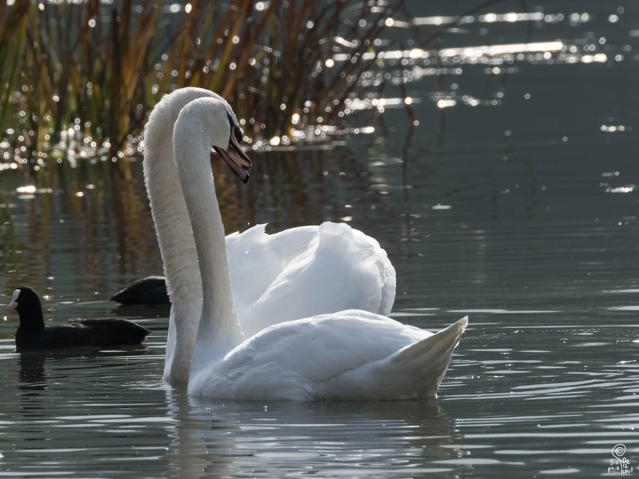 XF100-400mmF4.5-5.6 R LM OIS WR + 1.4x sample photo. Dscf photography