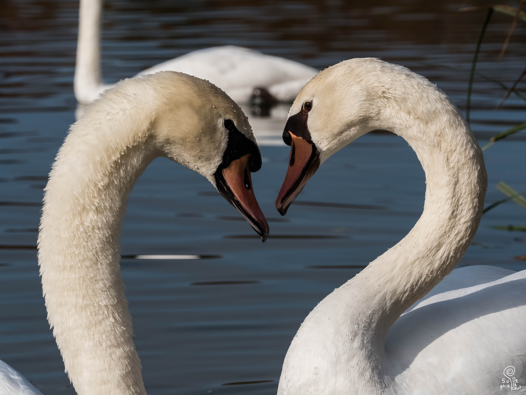 XF100-400mmF4.5-5.6 R LM OIS WR + 1.4x sample photo. Dscf photography
