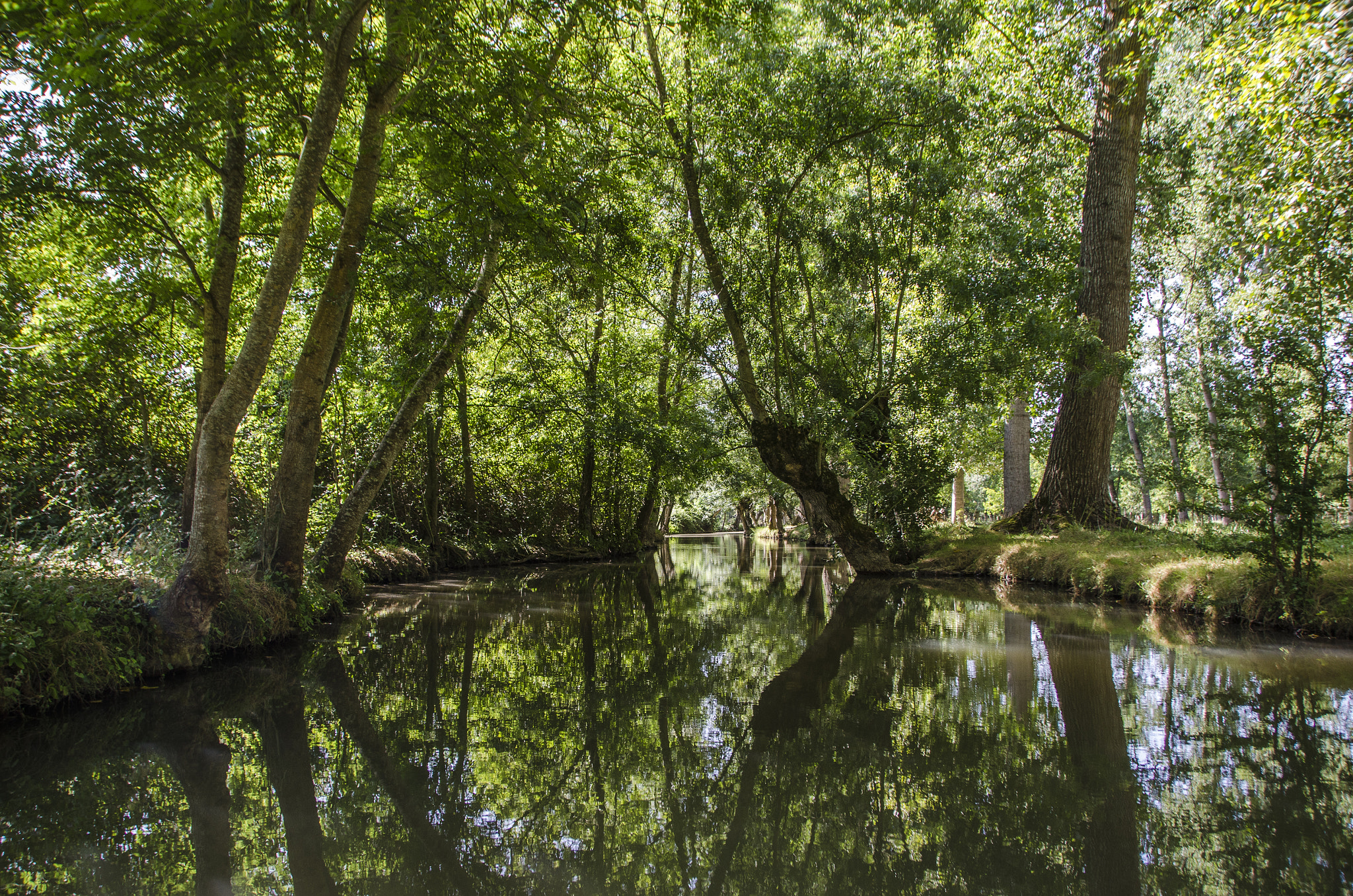 Sigma 18-200mm F3.5-6.3 II DC OS HSM sample photo. Reflection - marais poitevin. photography