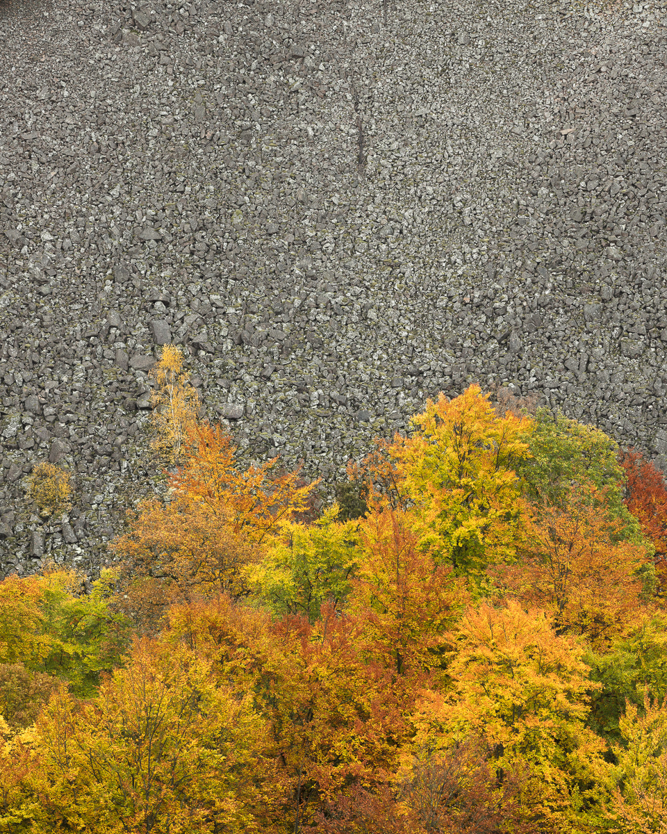 Canon EOS 5DS R + ZEISS Apo Sonnar T* 135mm F2 sample photo. Söderåsen höst i photography